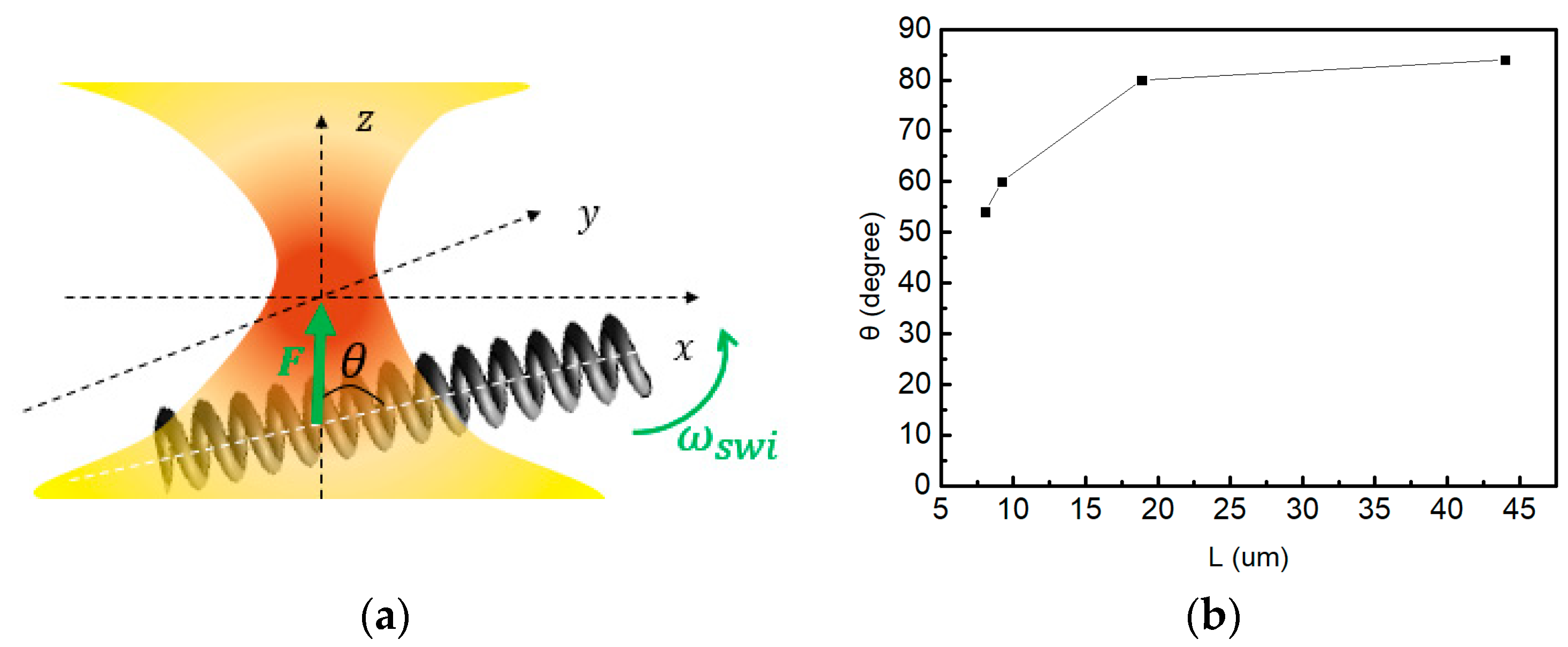 Coatings 14 00926 g004