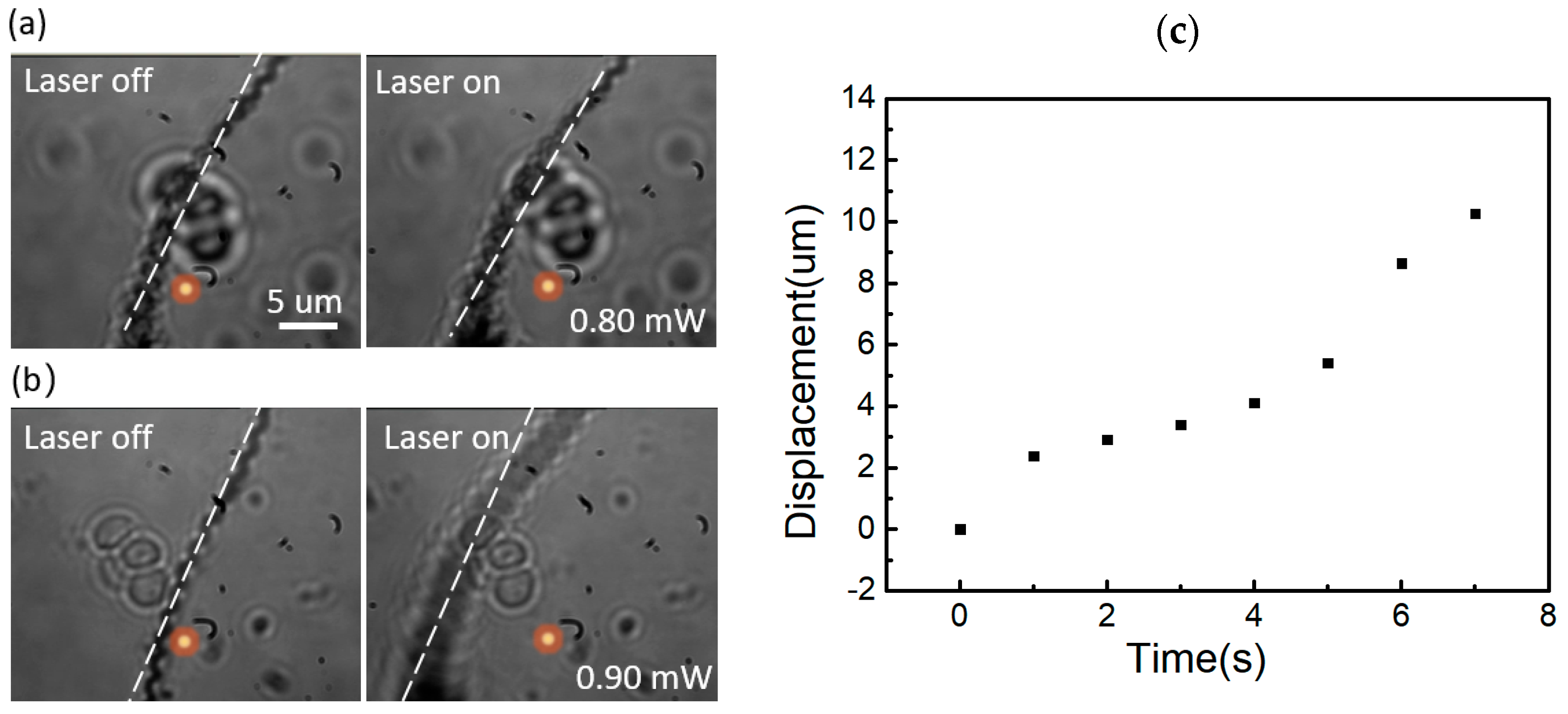 Coatings 14 00926 g006