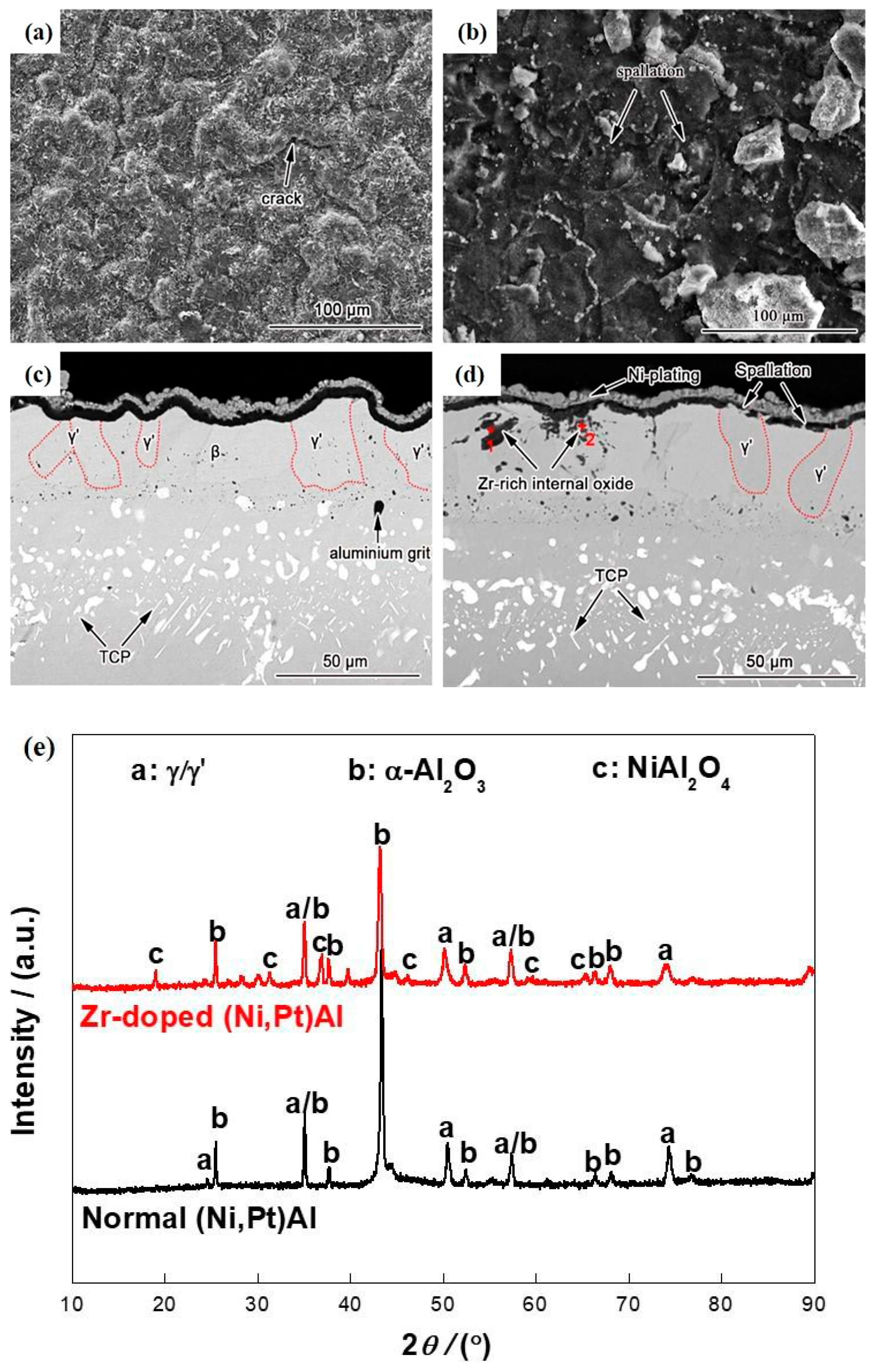 Coatings 14 00927 g003