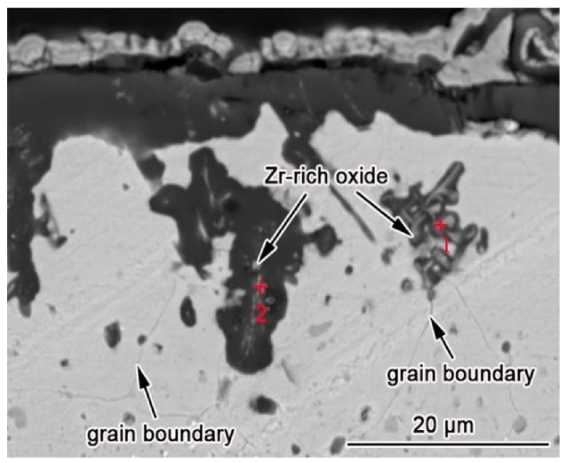 Coatings 14 00927 g005