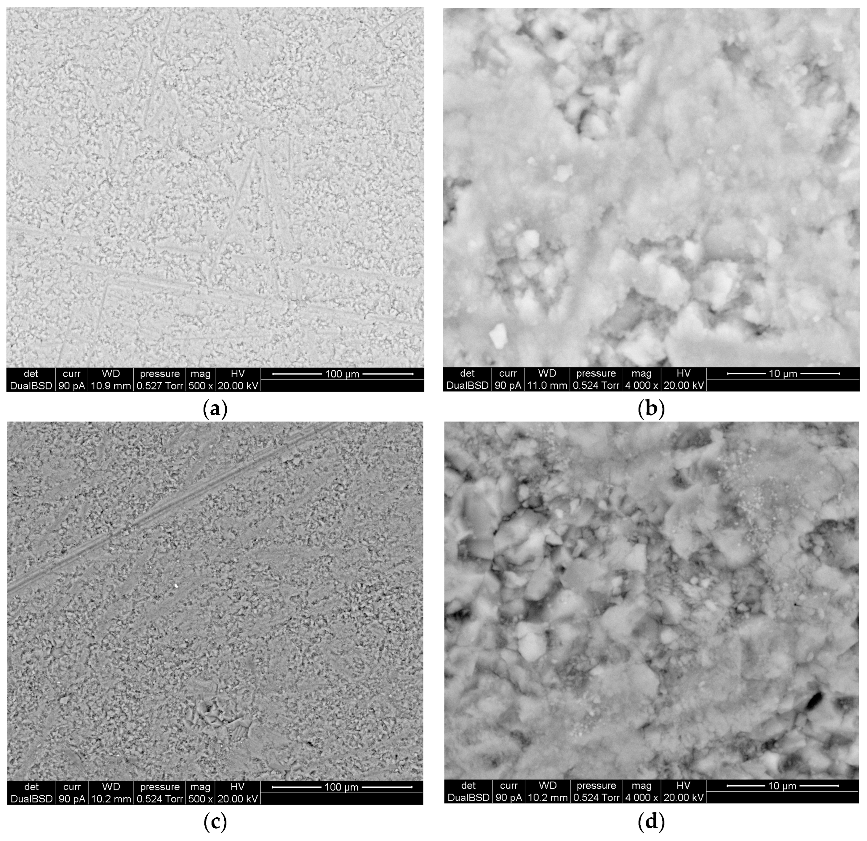 Coatings 14 00931 g005