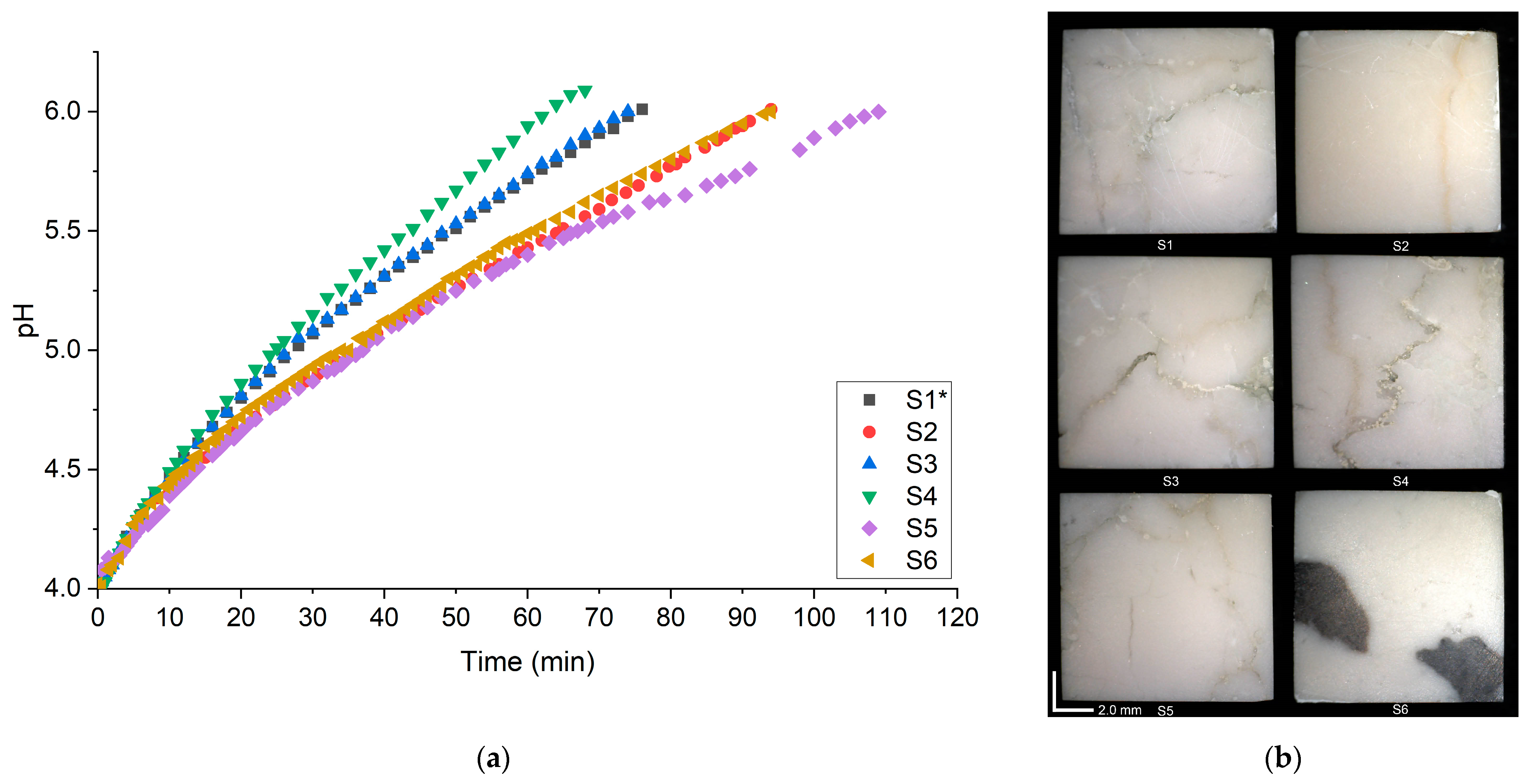 Coatings 14 00931 g006a