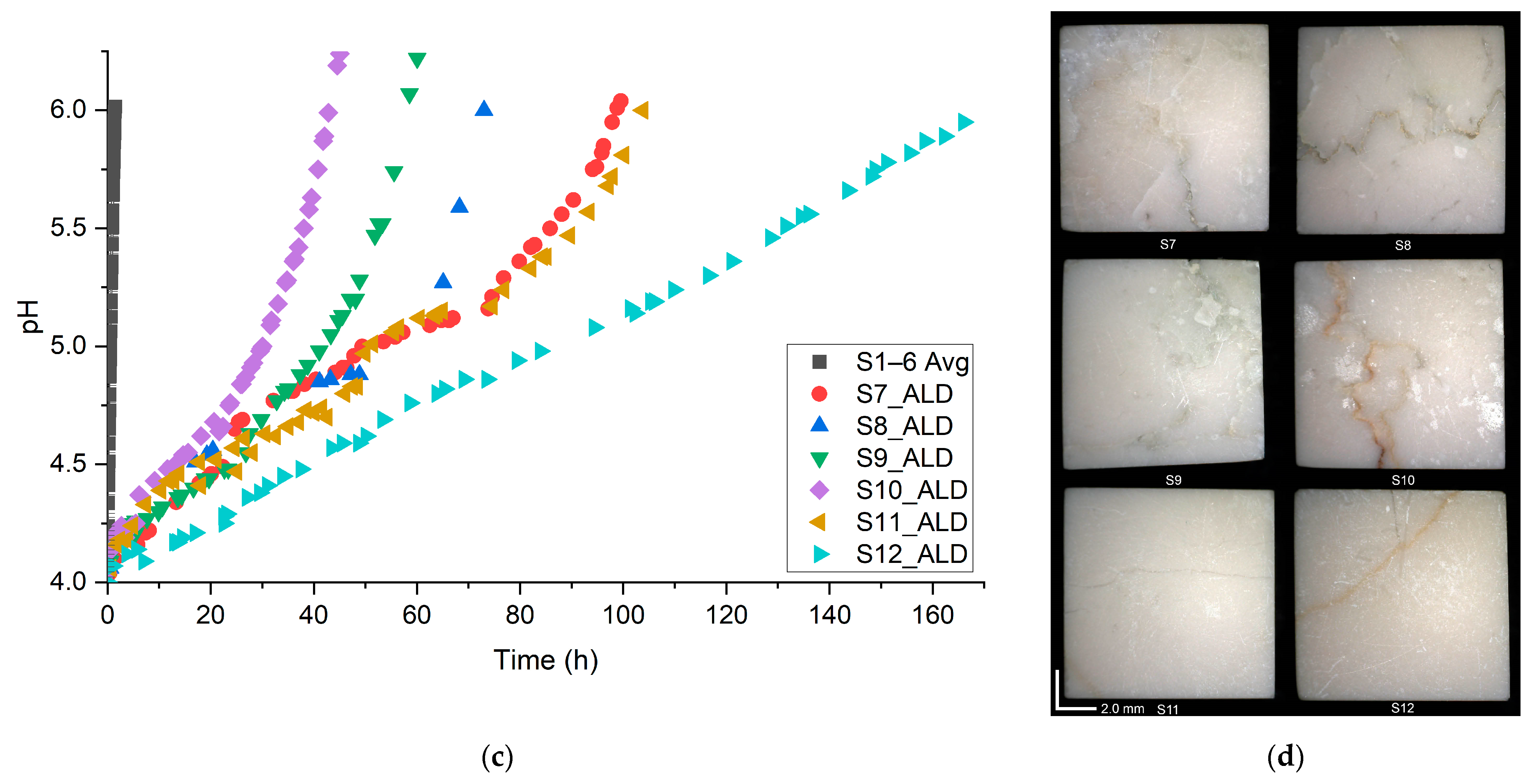 Coatings 14 00931 g006b