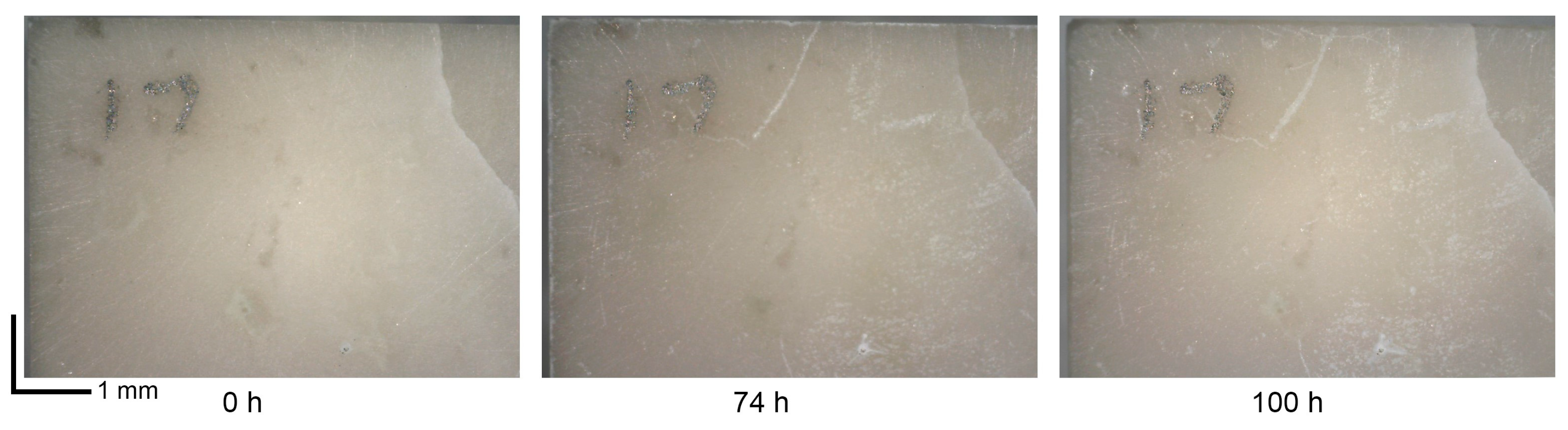 Coatings 14 00931 g007