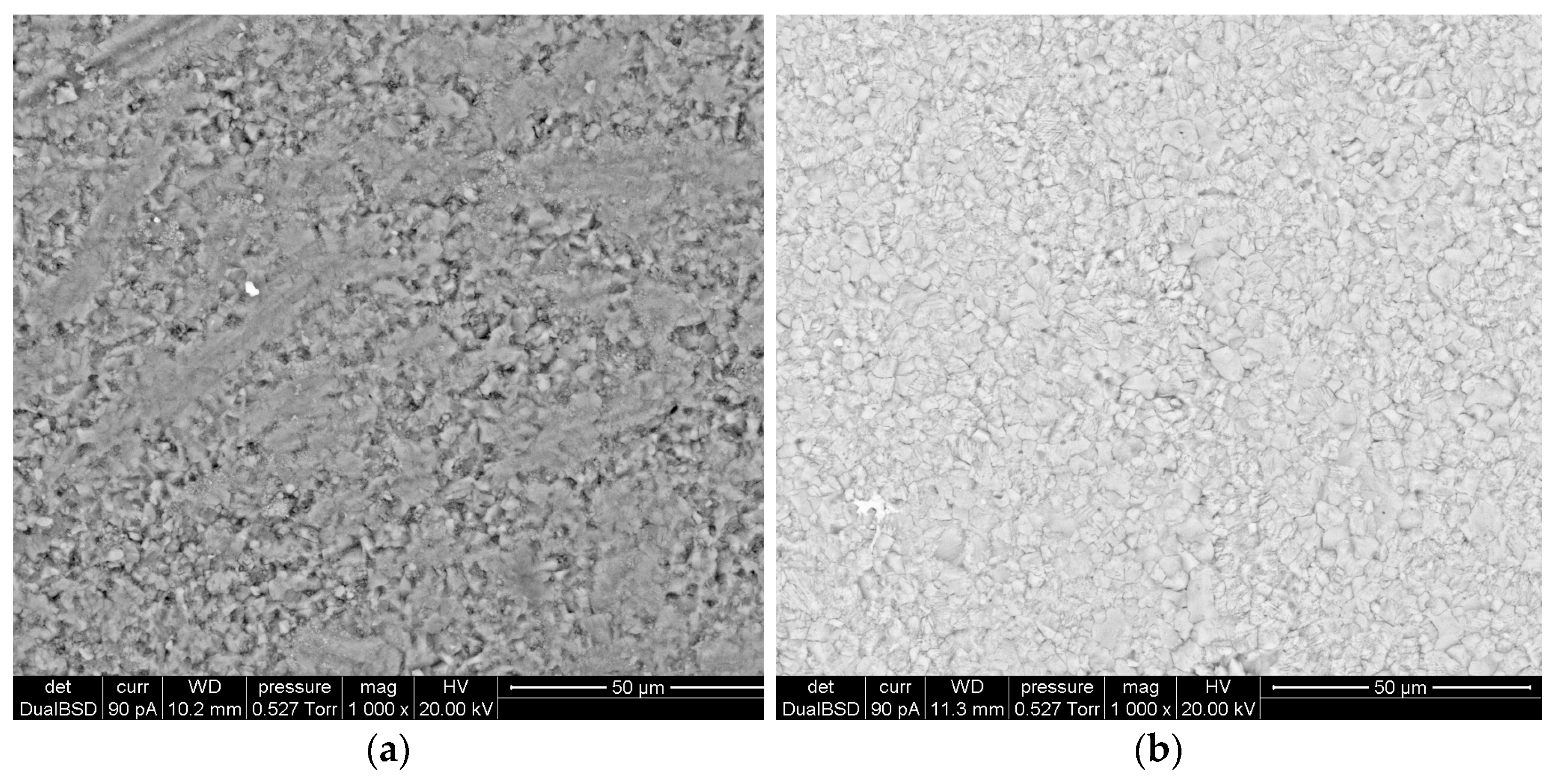 Coatings 14 00931 g009a