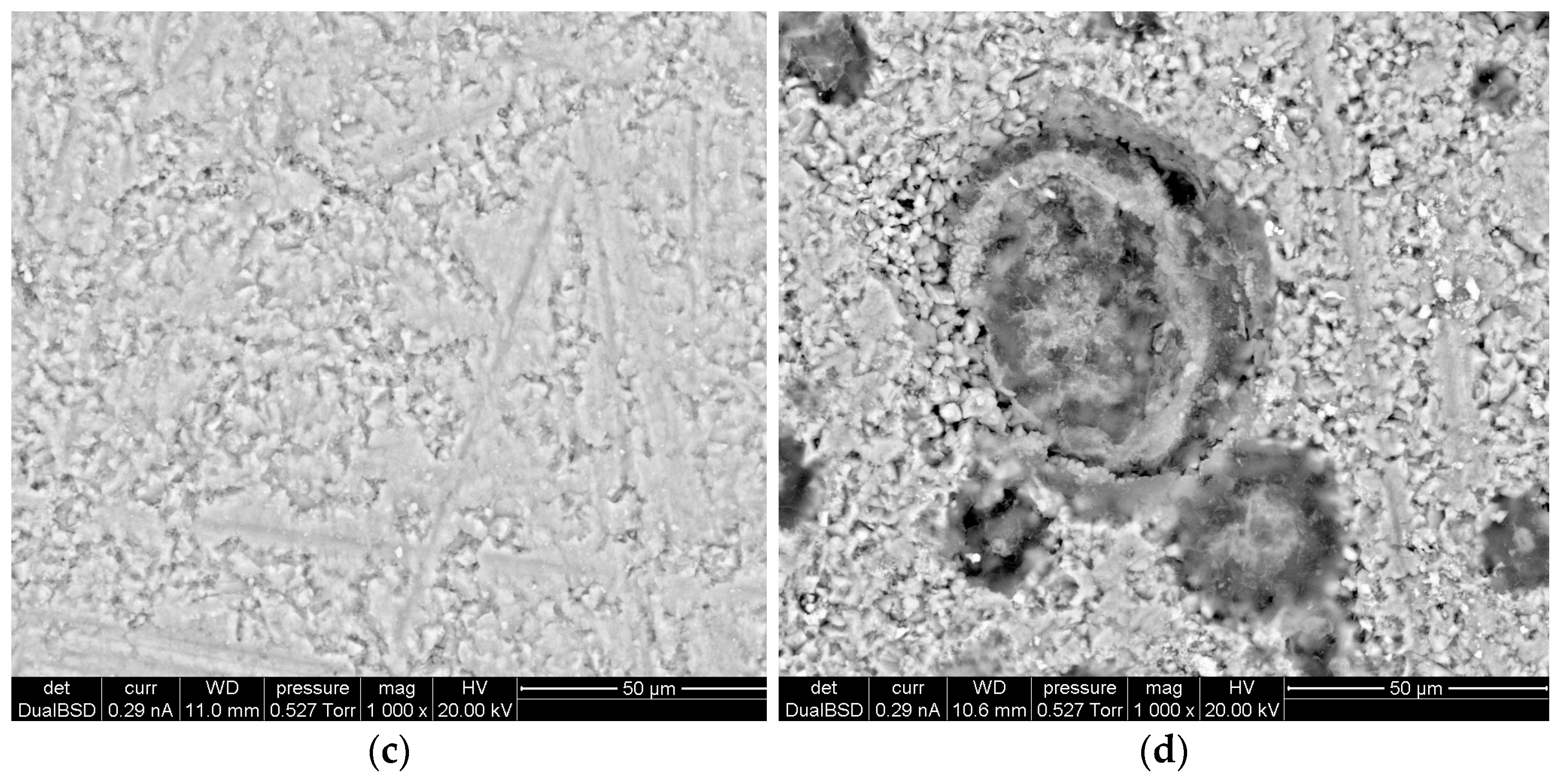 Coatings 14 00931 g009b