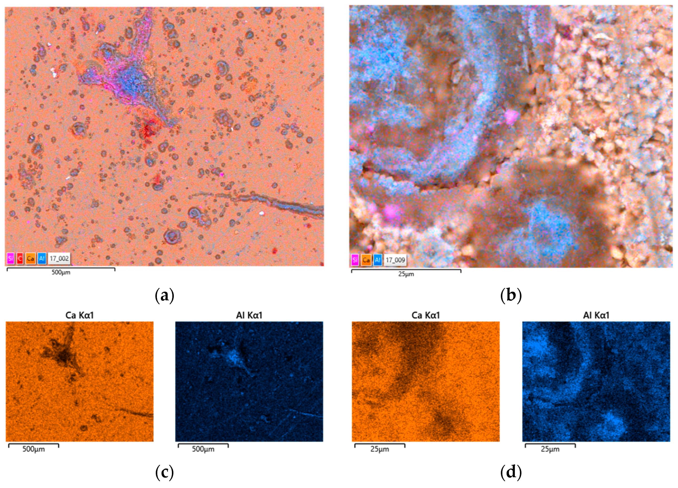 Coatings 14 00931 g010