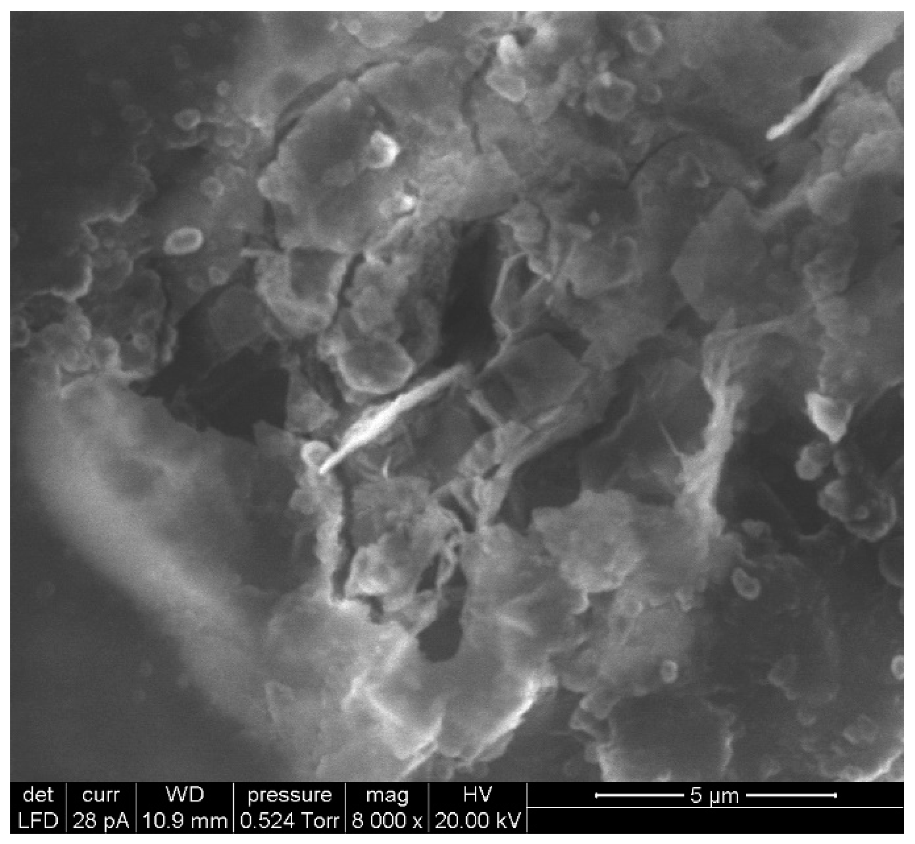 Coatings 14 00931 g011