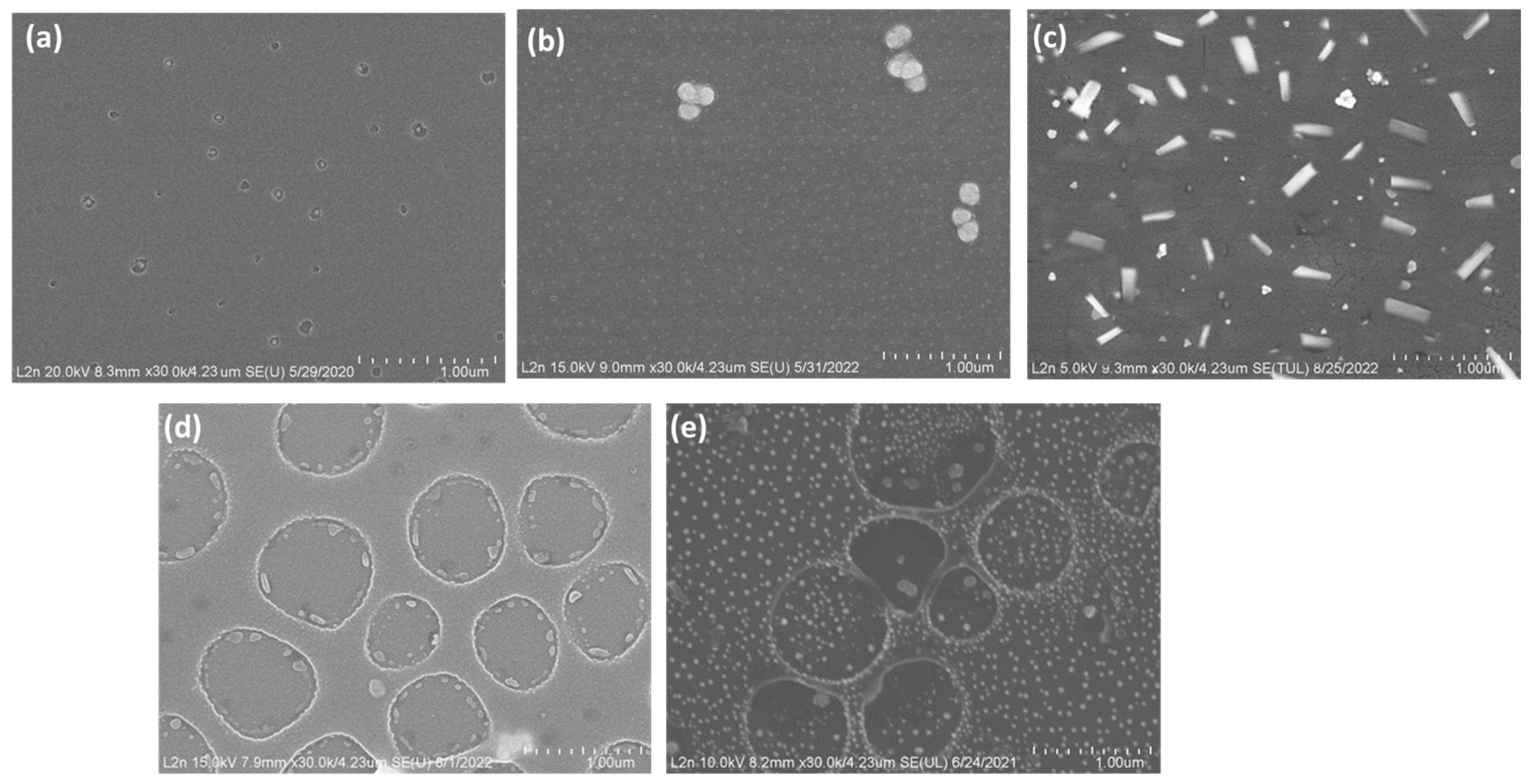 Coatings 14 00934 g001
