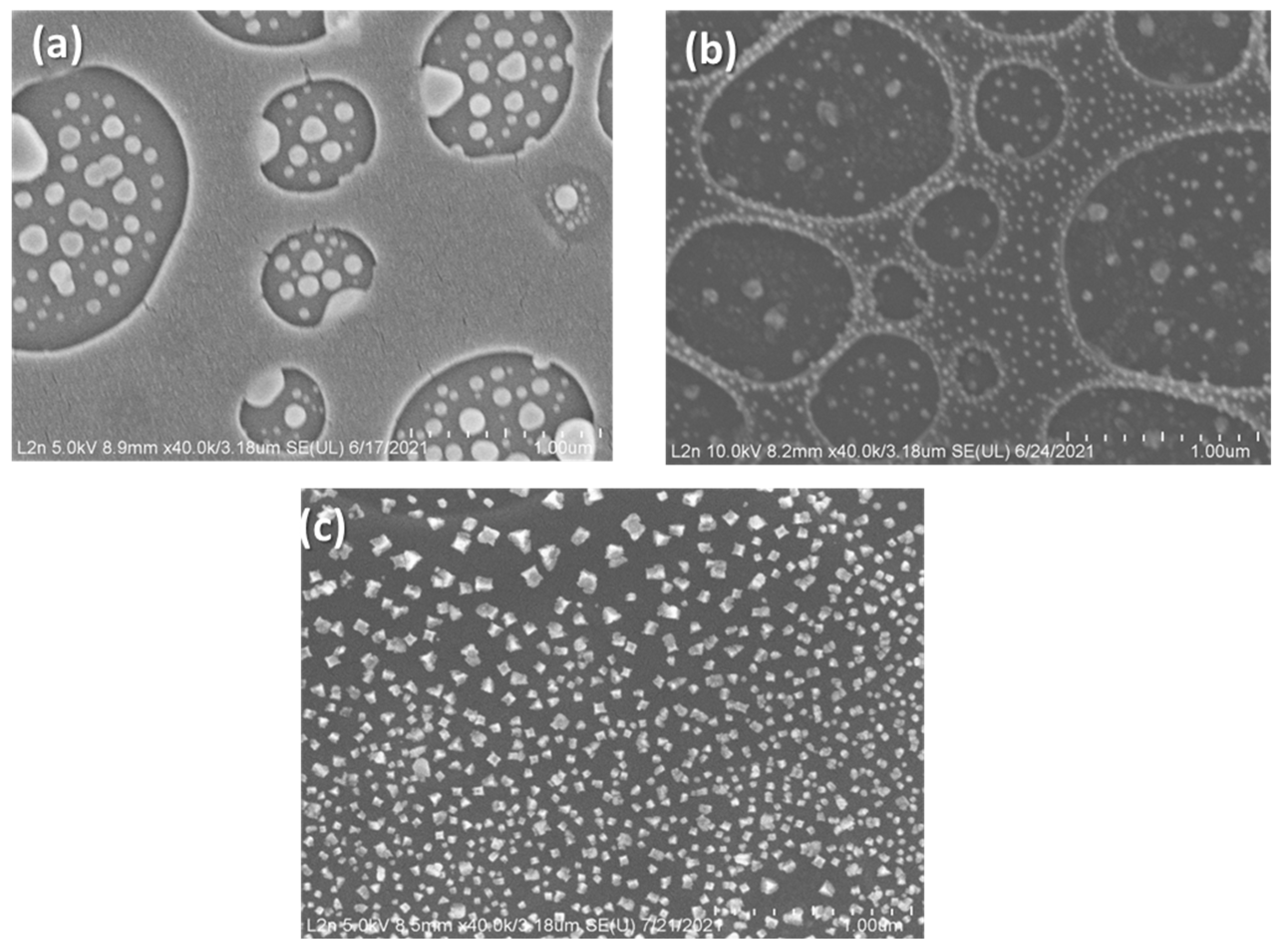 Coatings 14 00934 g009