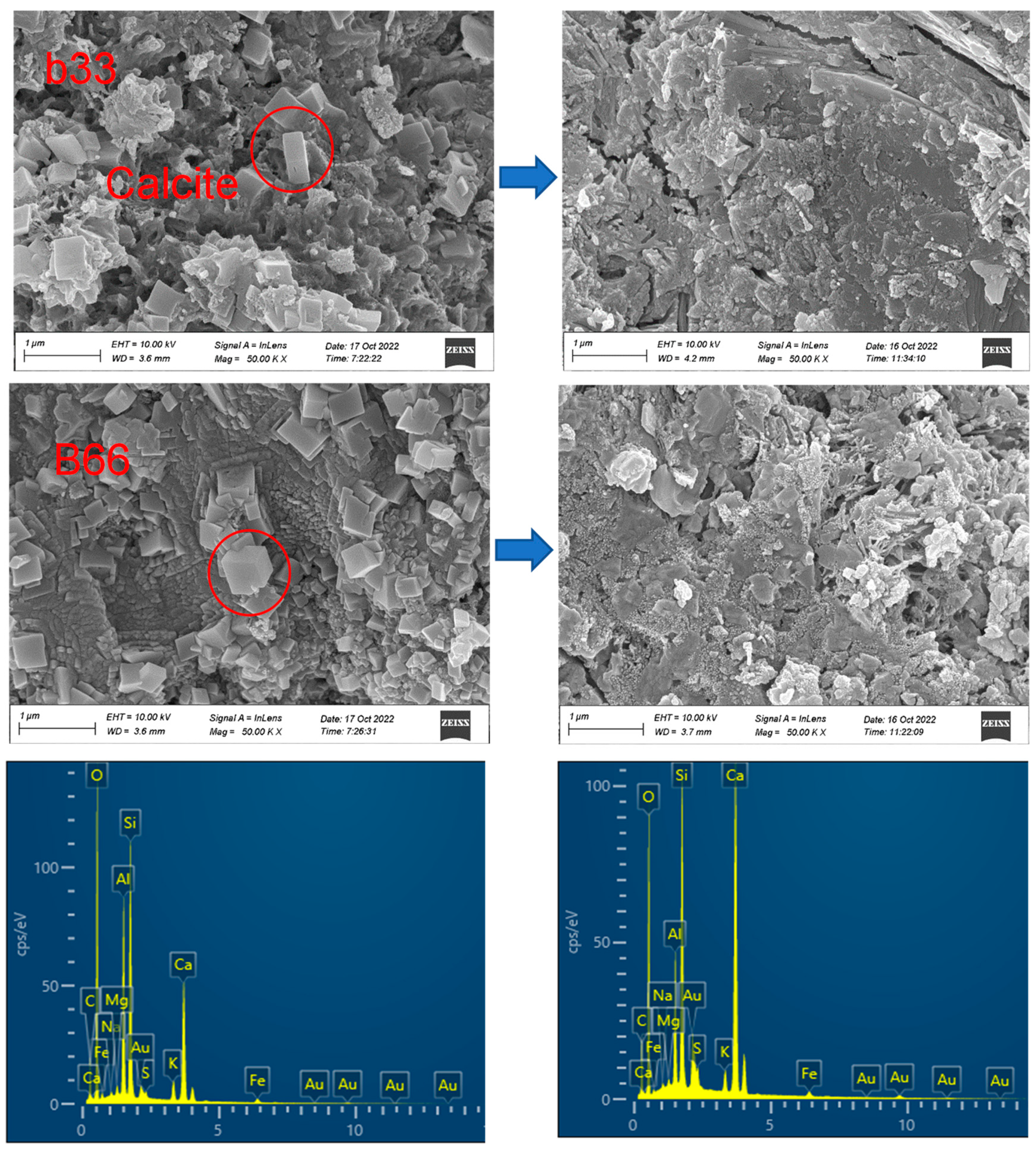 Coatings 14 00936 g006