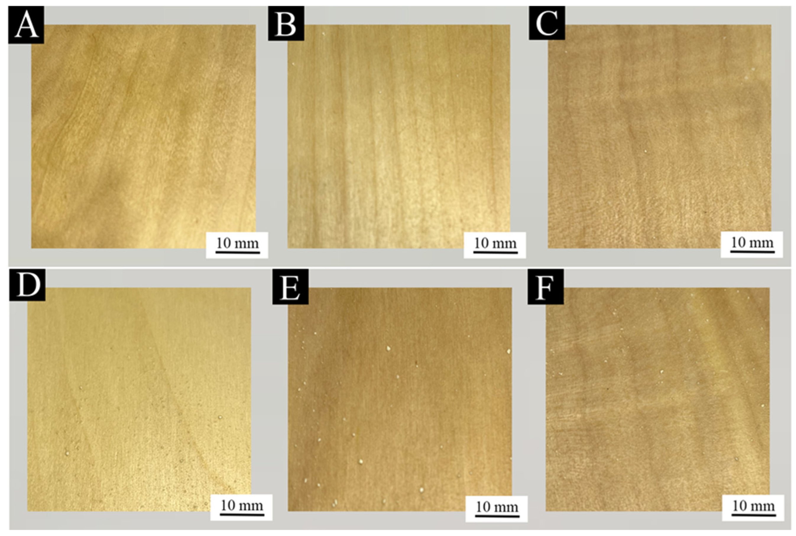 Coatings 14 00937 g003
