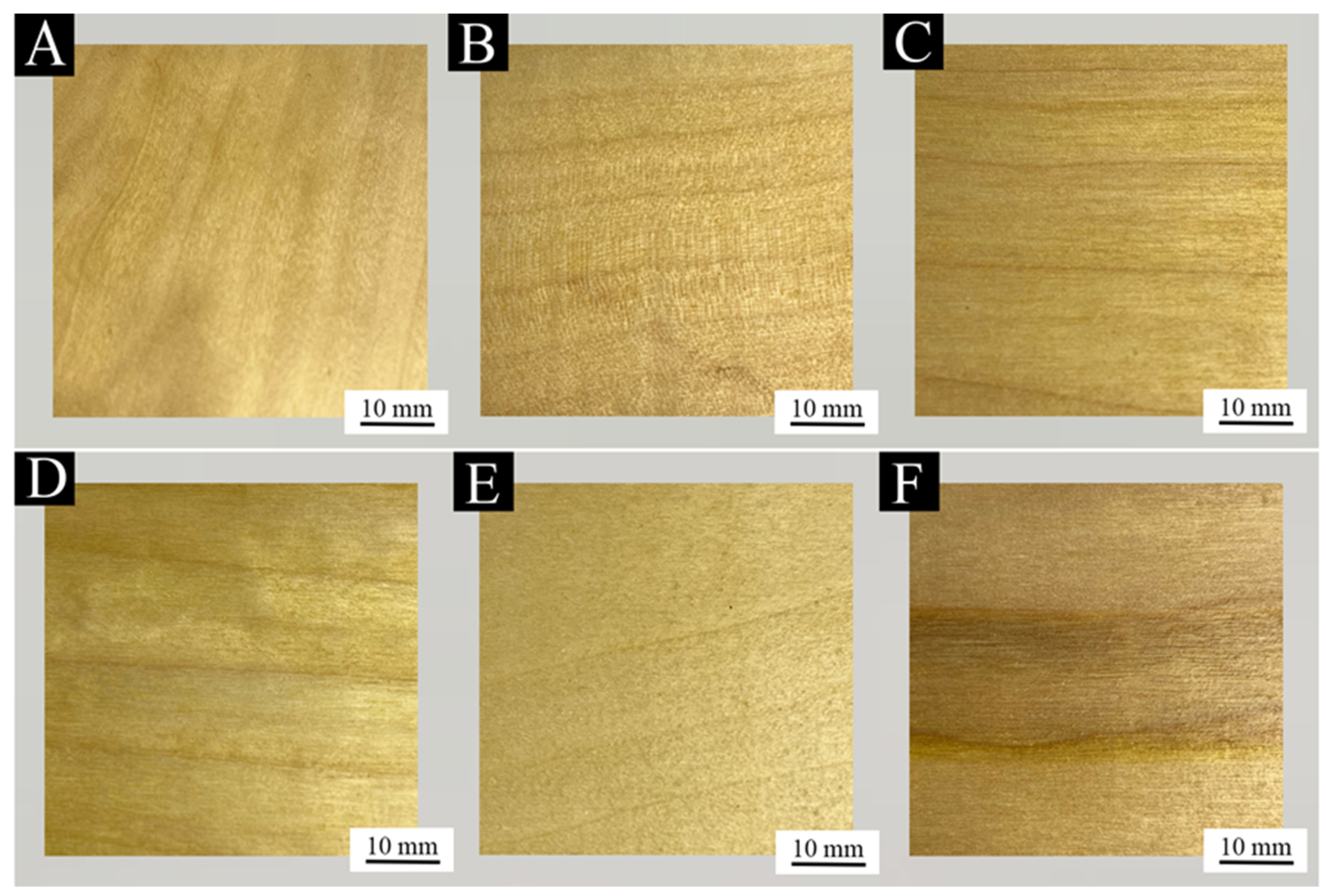 Coatings 14 00937 g004