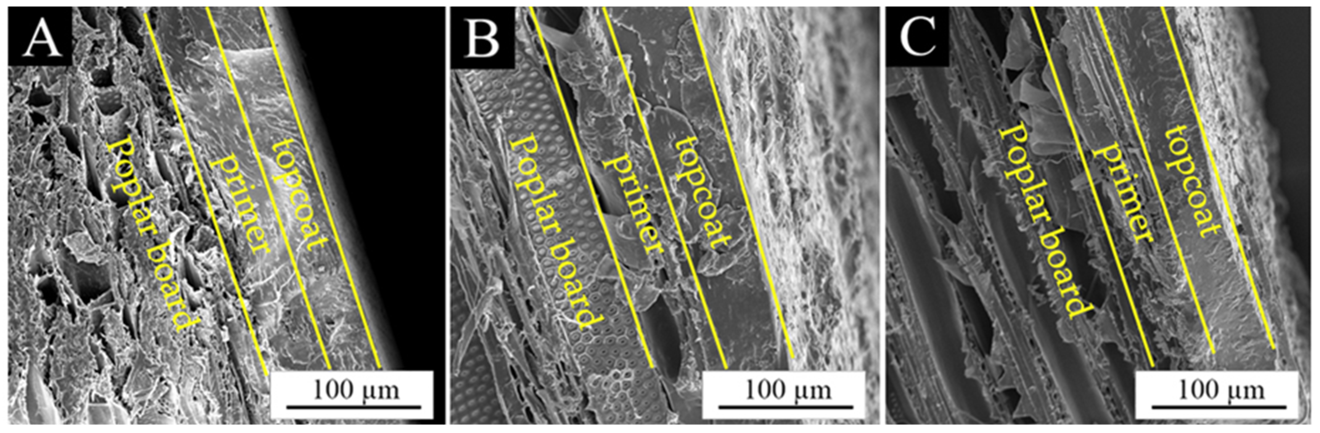 Coatings 14 00937 g006
