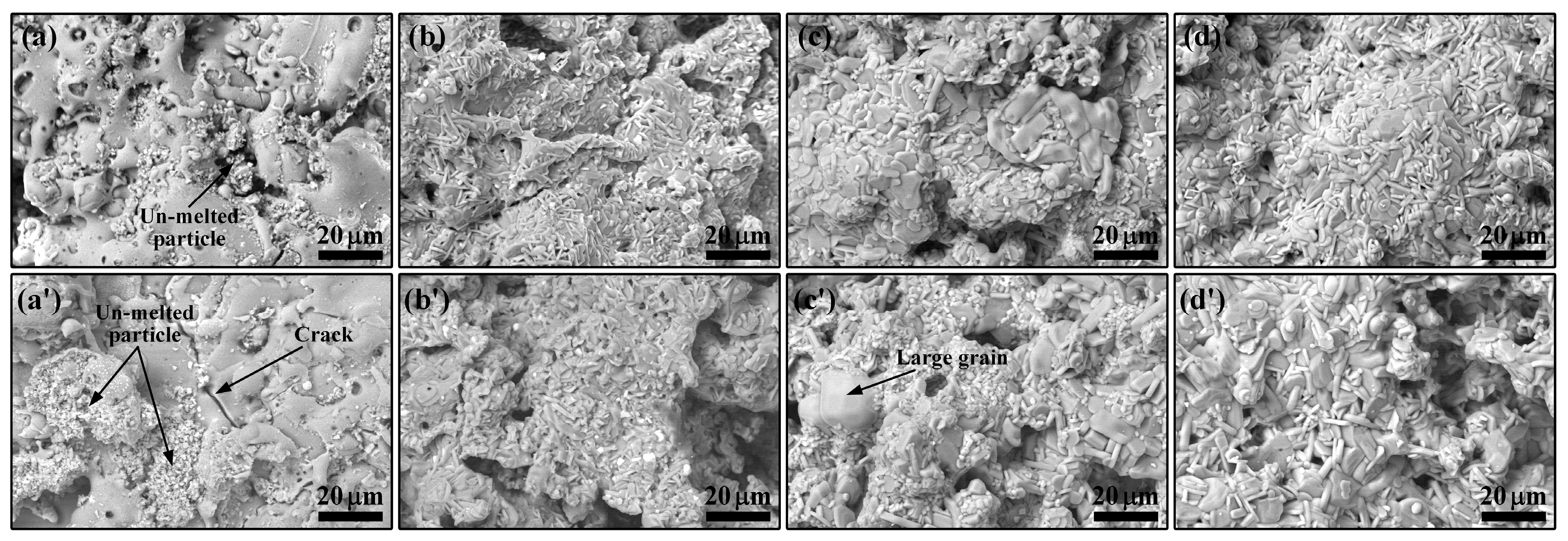 Coatings 14 00938 g011