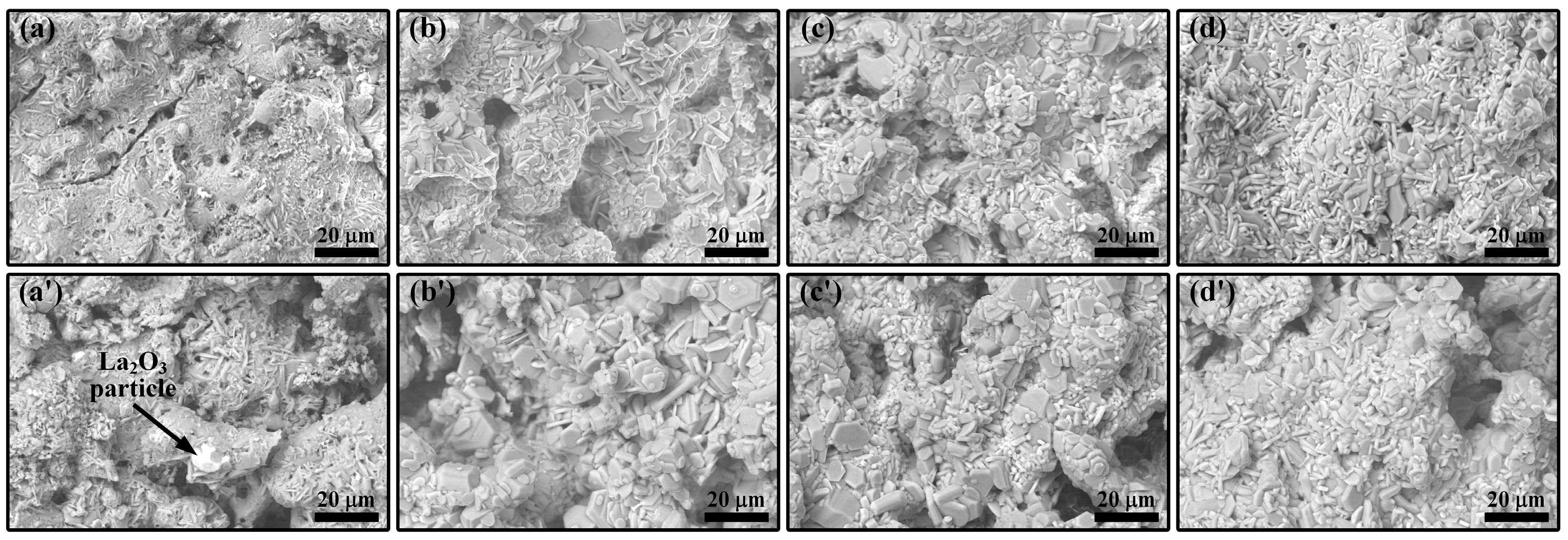 Coatings 14 00938 g016