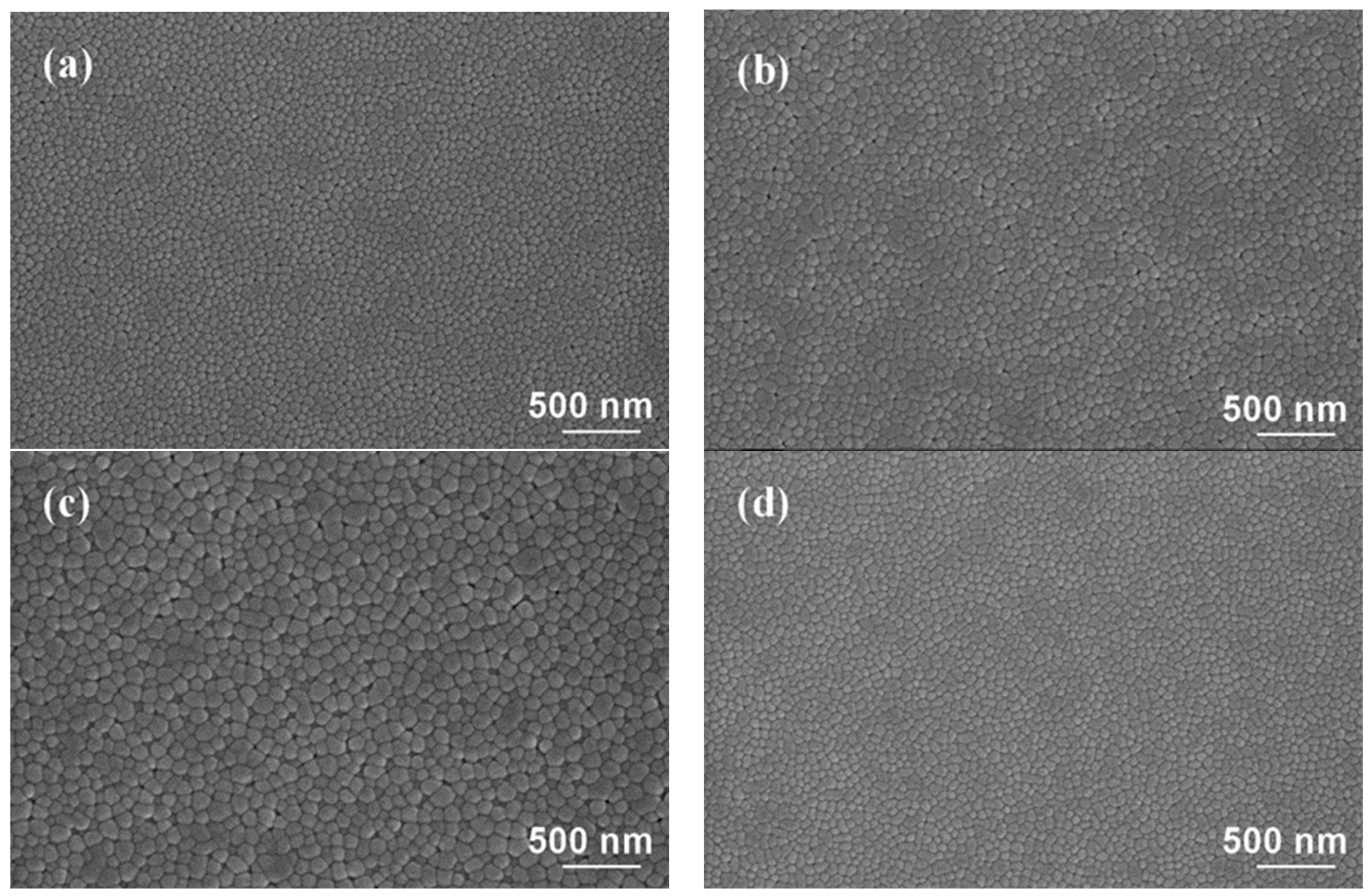 Coatings 14 00940 g003a