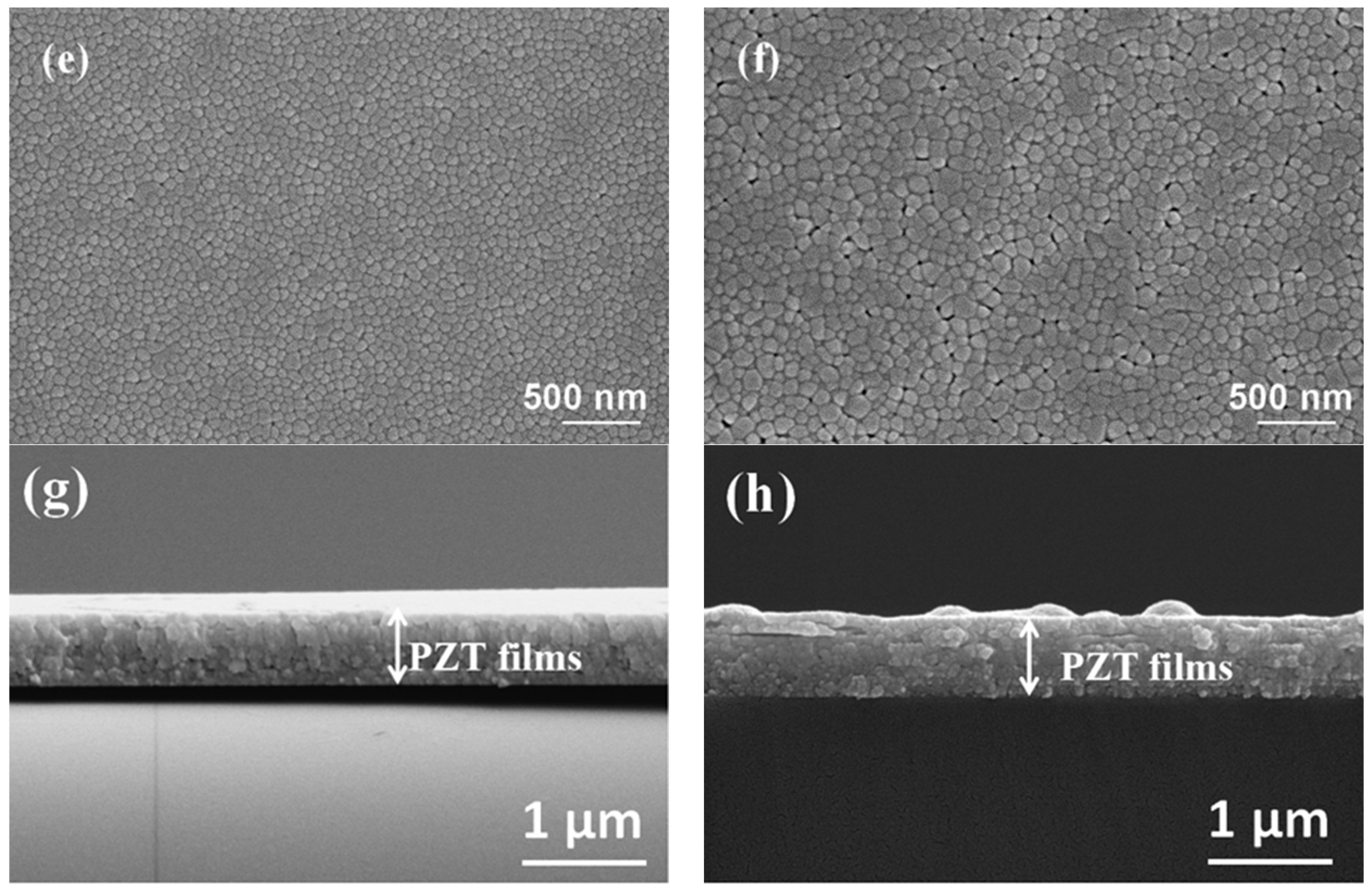 Coatings 14 00940 g003b