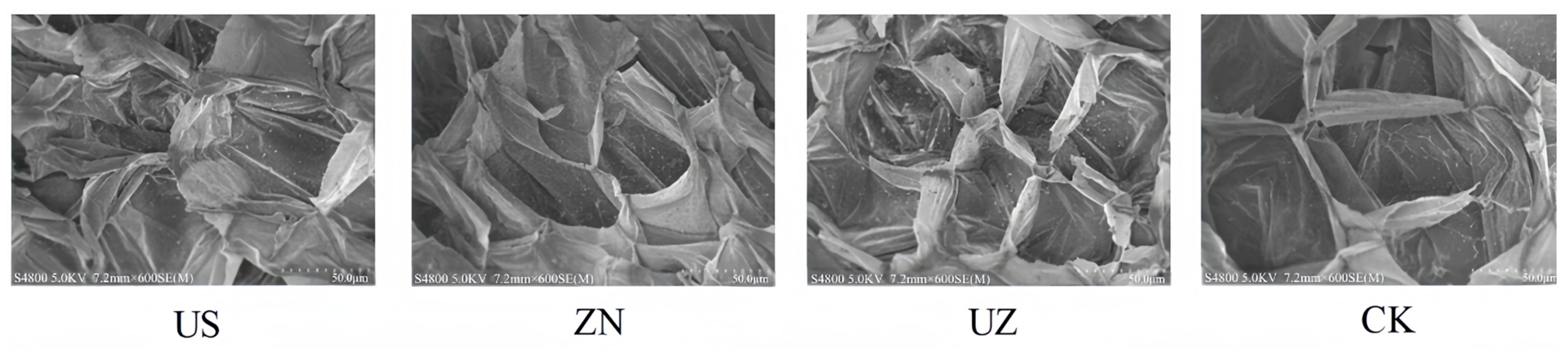 Coatings 14 00943 g008