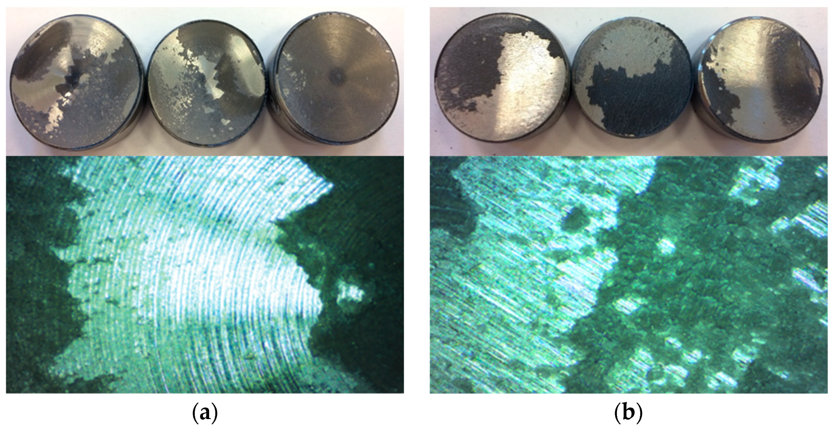 Coatings 14 00944 g012