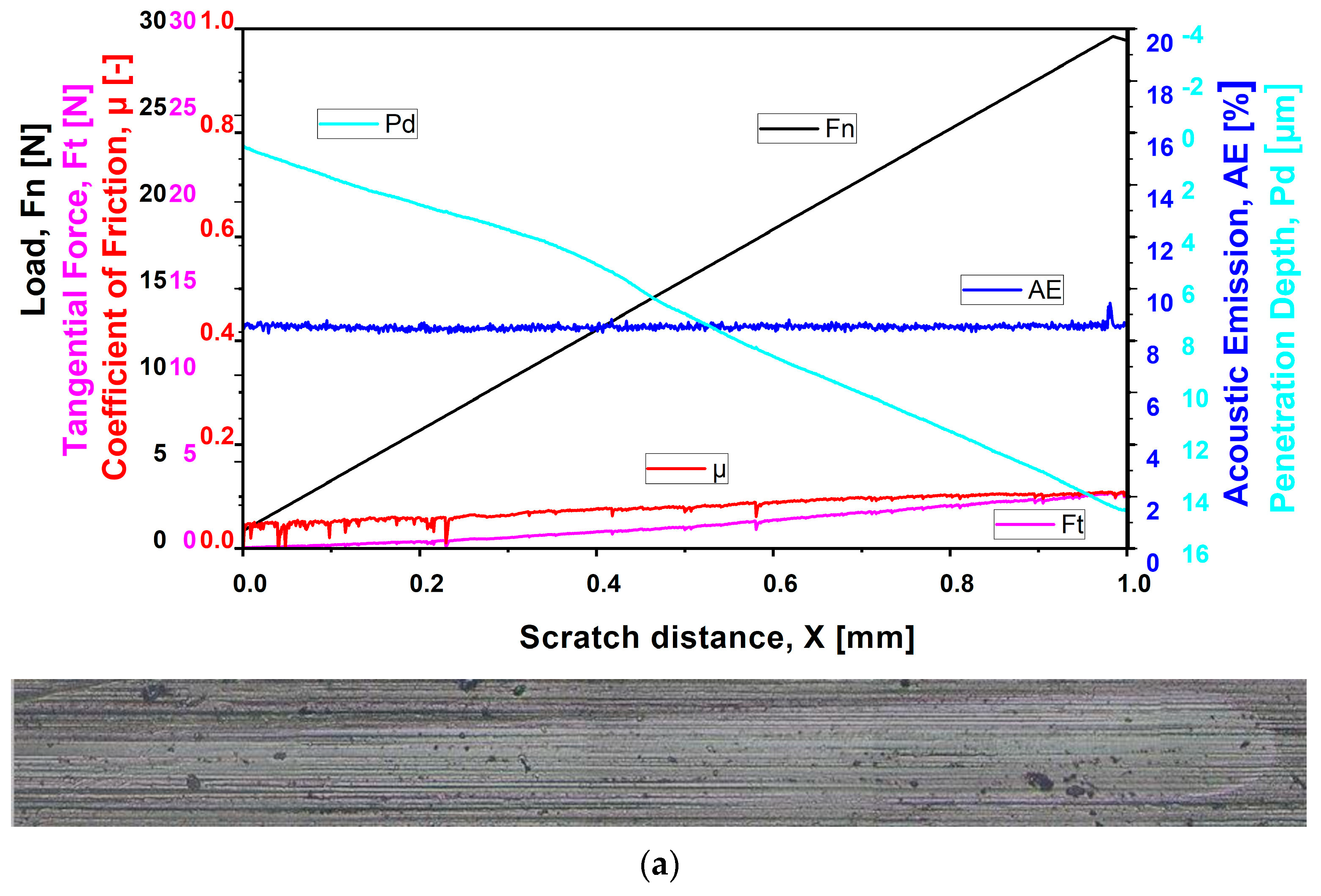 Coatings 14 00946 g007a