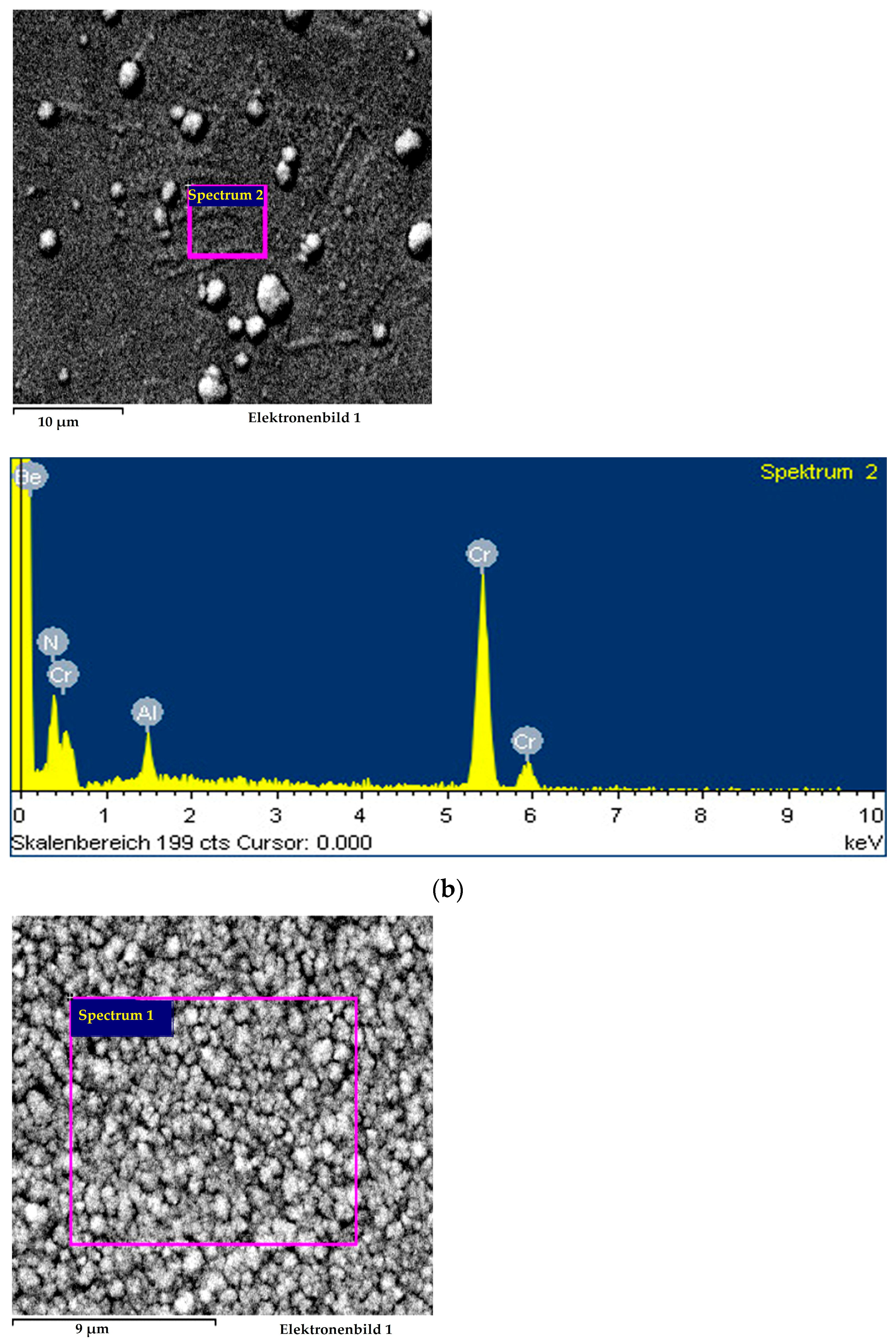Coatings 14 00946 g010b