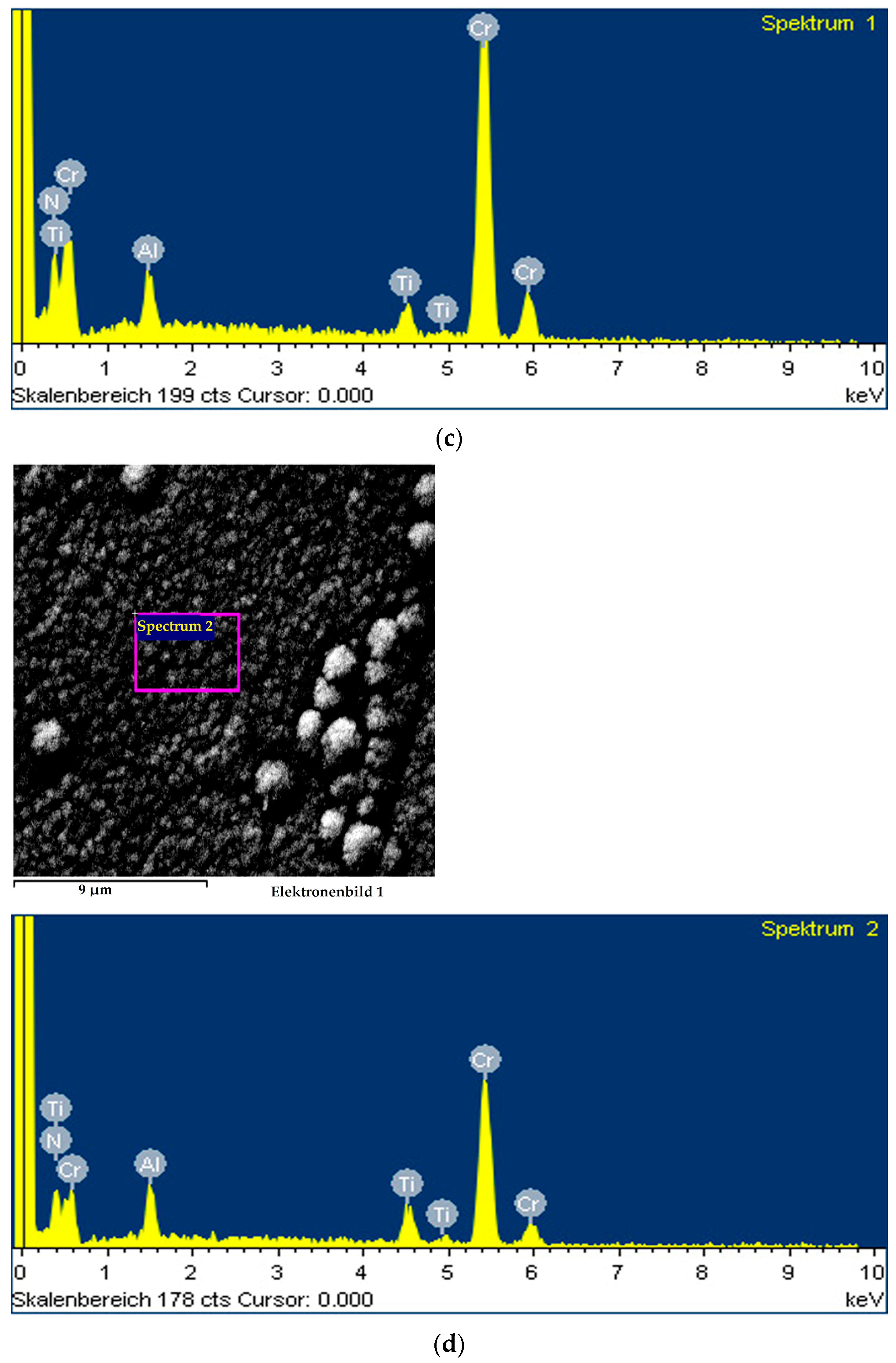 Coatings 14 00946 g010c
