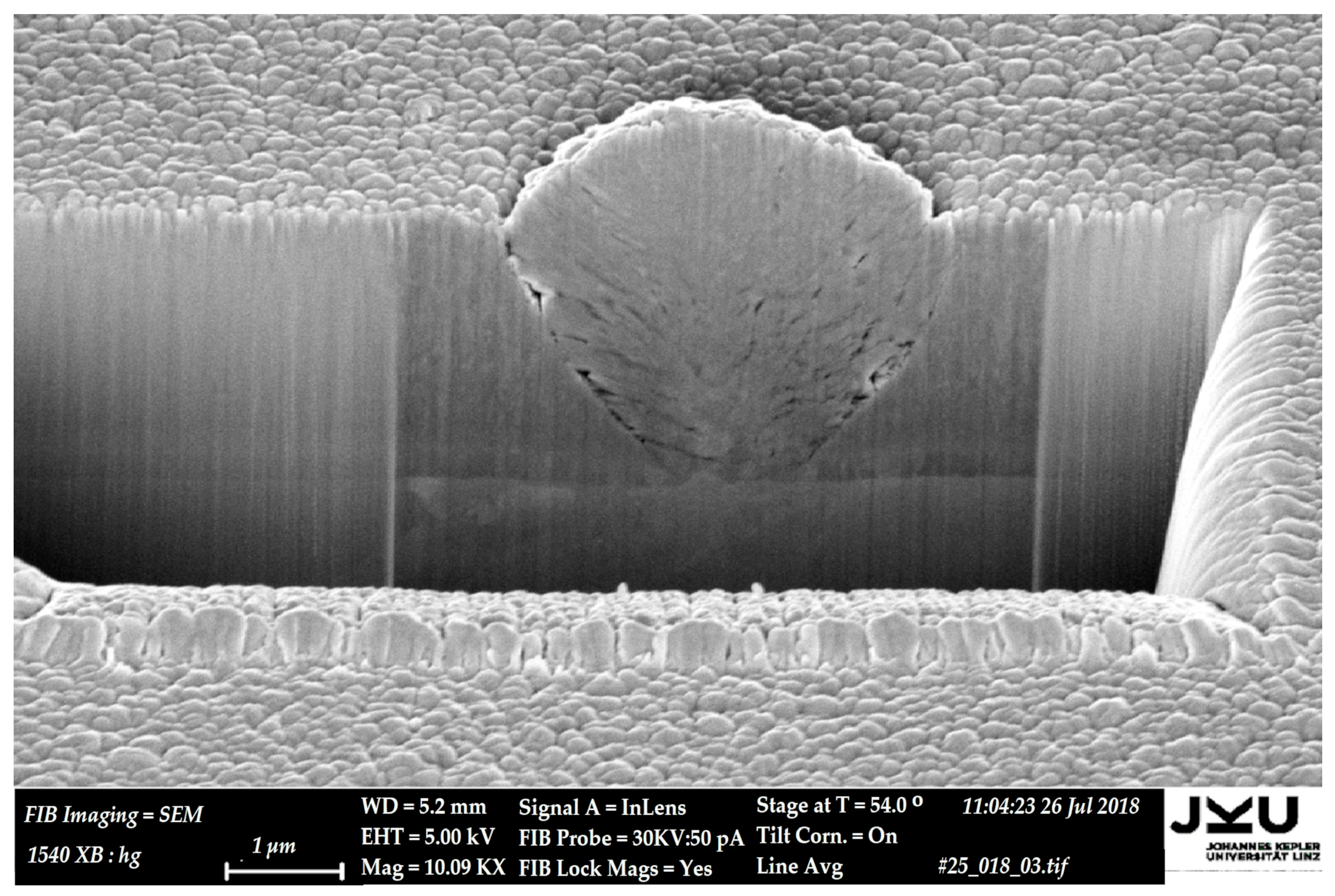 Coatings 14 00946 g013