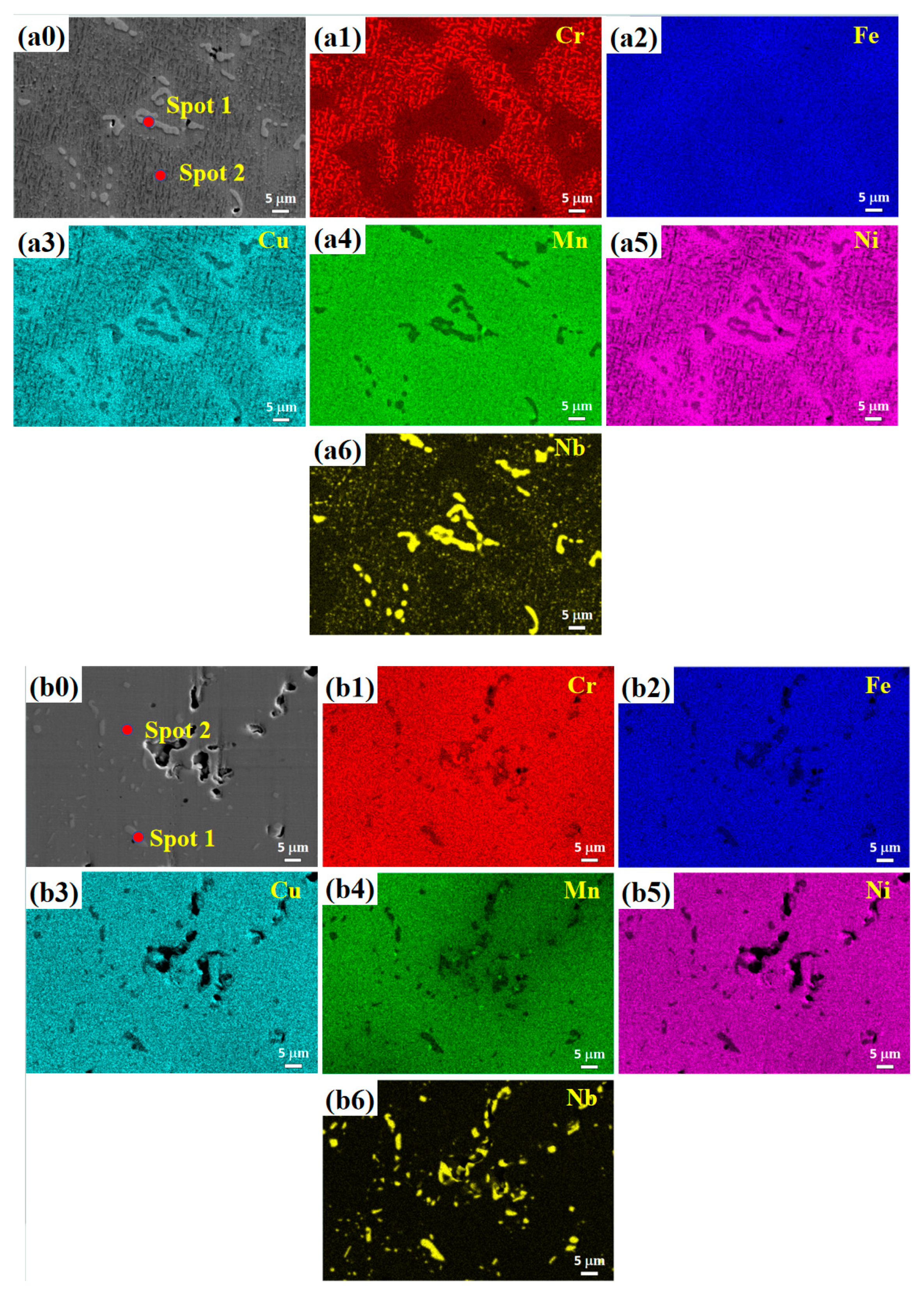 Coatings 14 00950 g003a