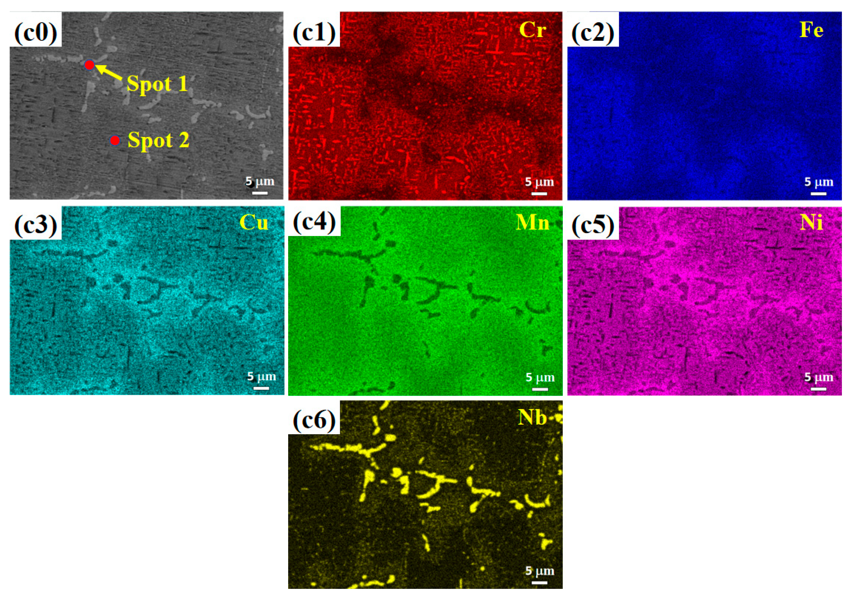 Coatings 14 00950 g003b