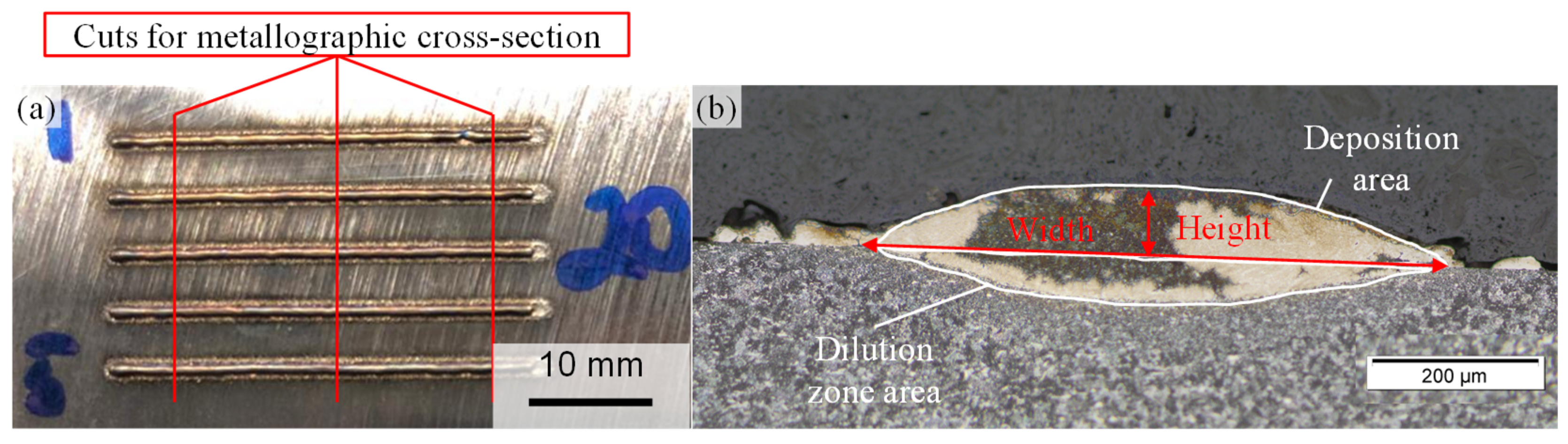 Coatings 14 00953 g004