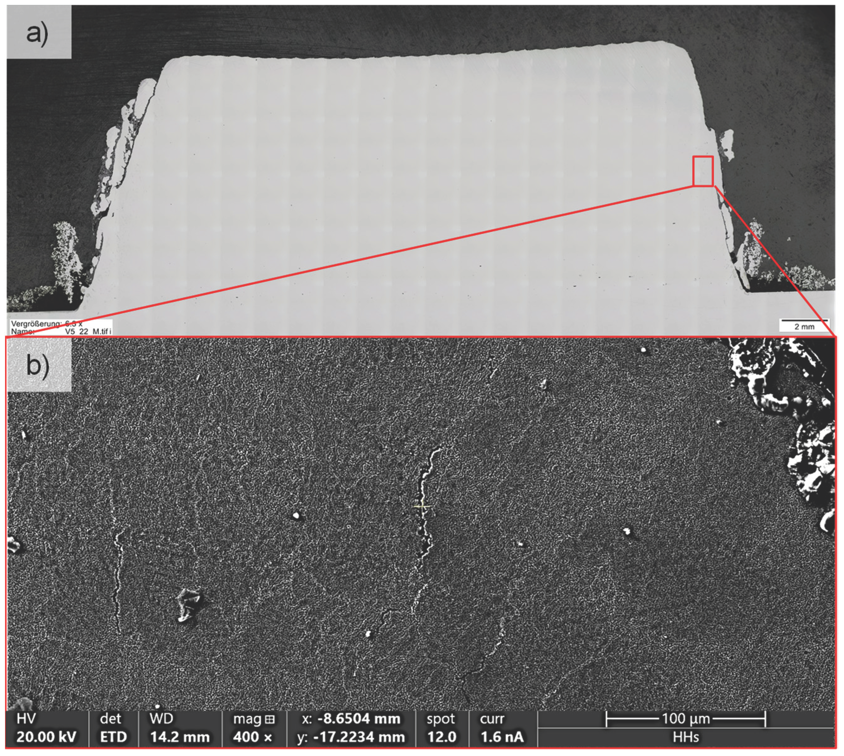 Coatings 14 00953 g020