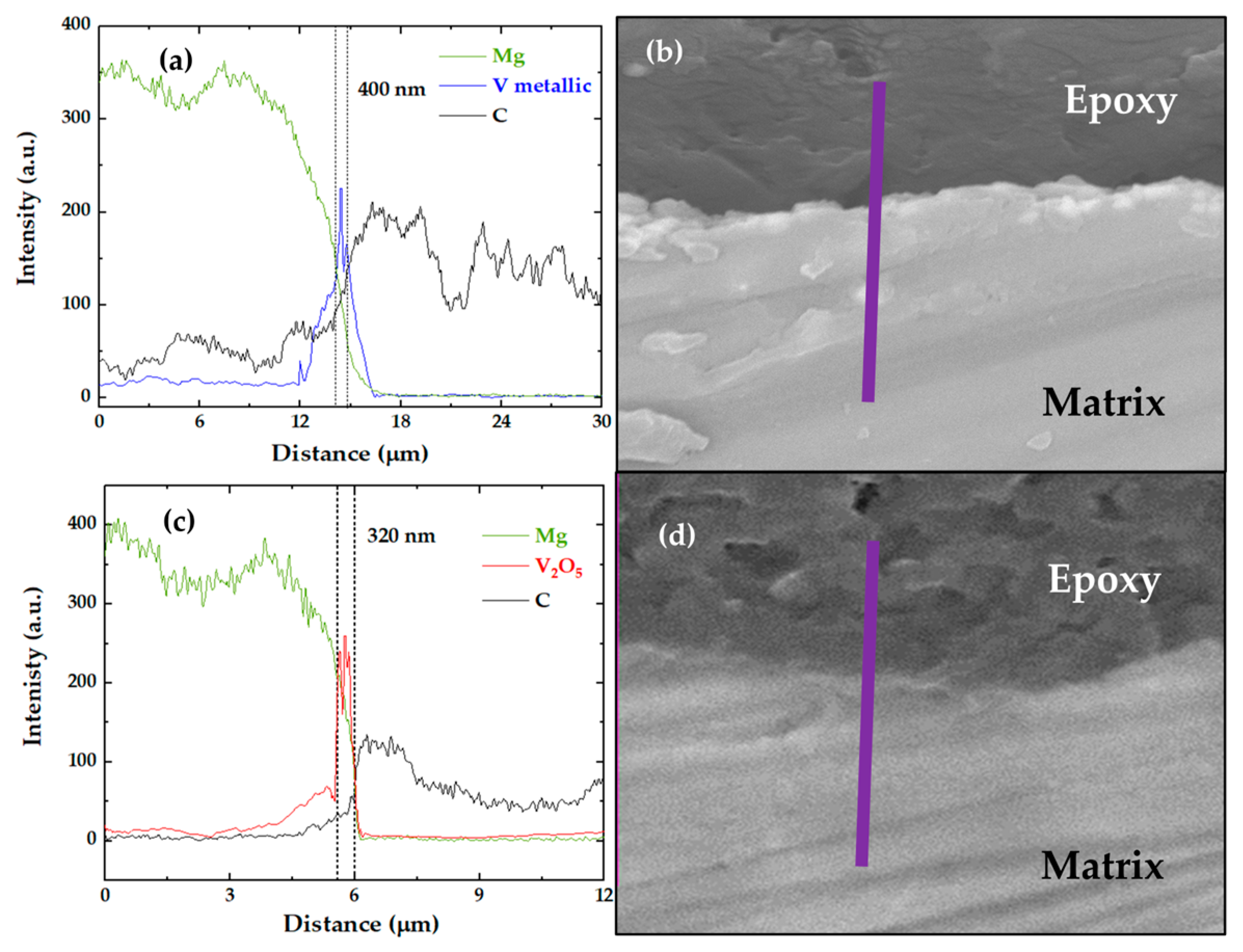 Coatings 14 00955 g003