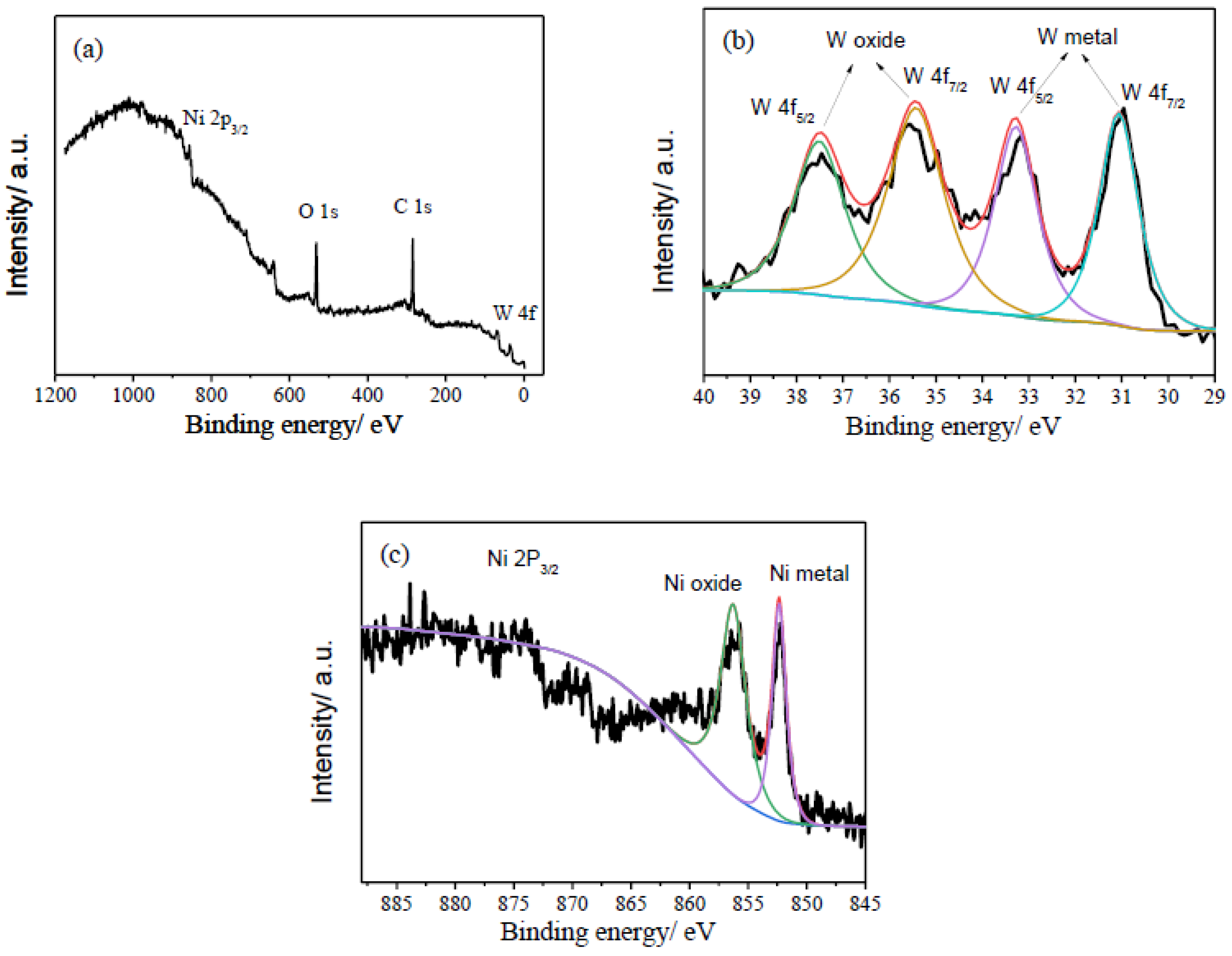Coatings 14 00957 g007