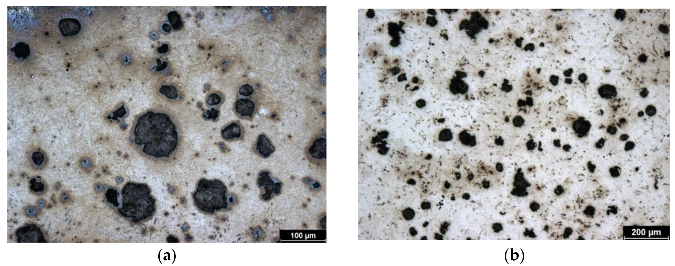 Coatings 14 00958 g001