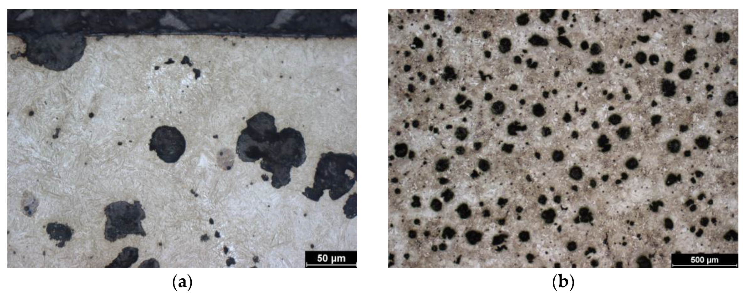 Coatings 14 00958 g003