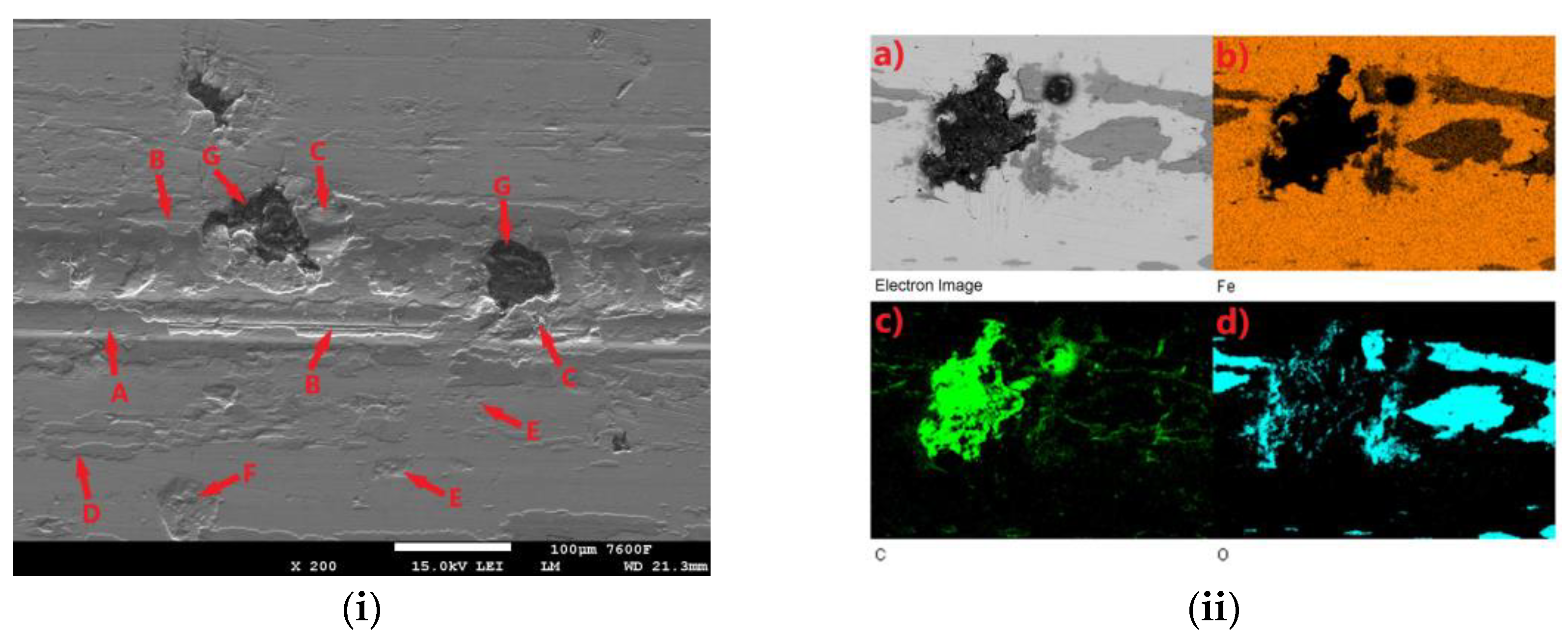 Coatings 14 00958 g011