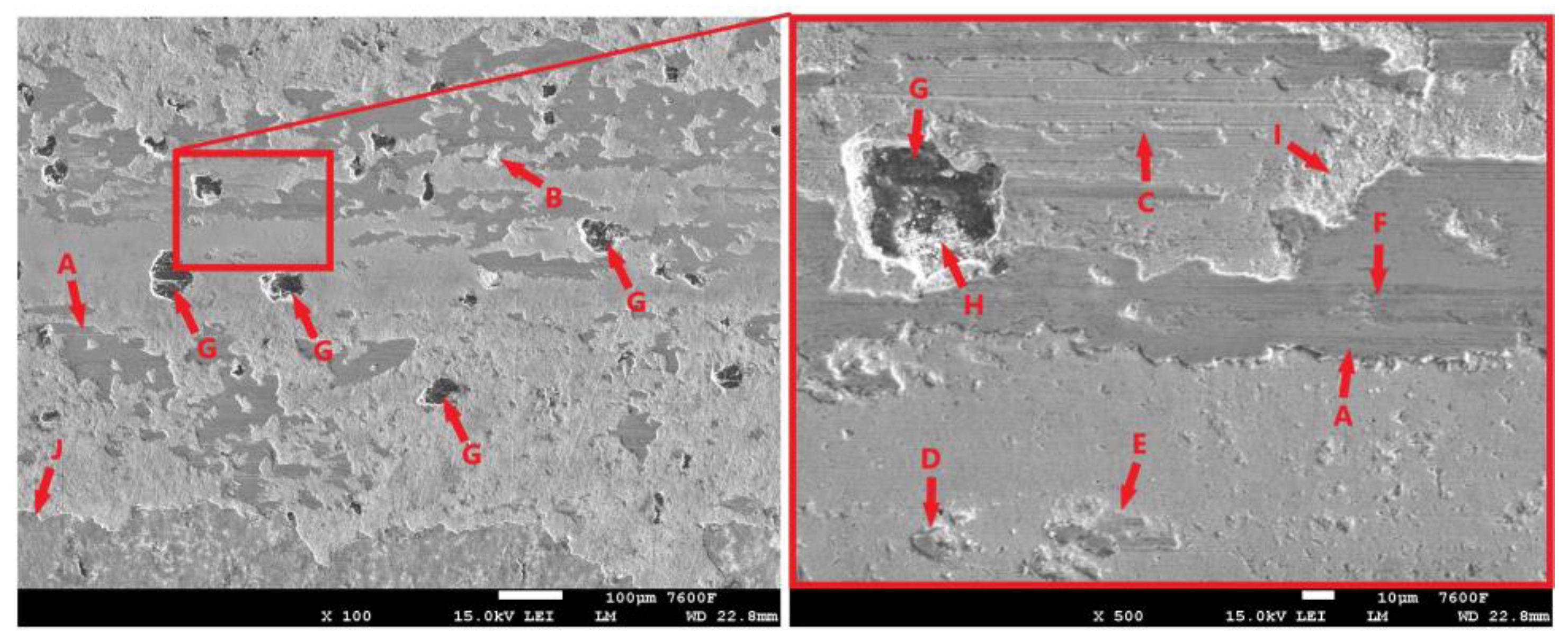 Coatings 14 00958 g019