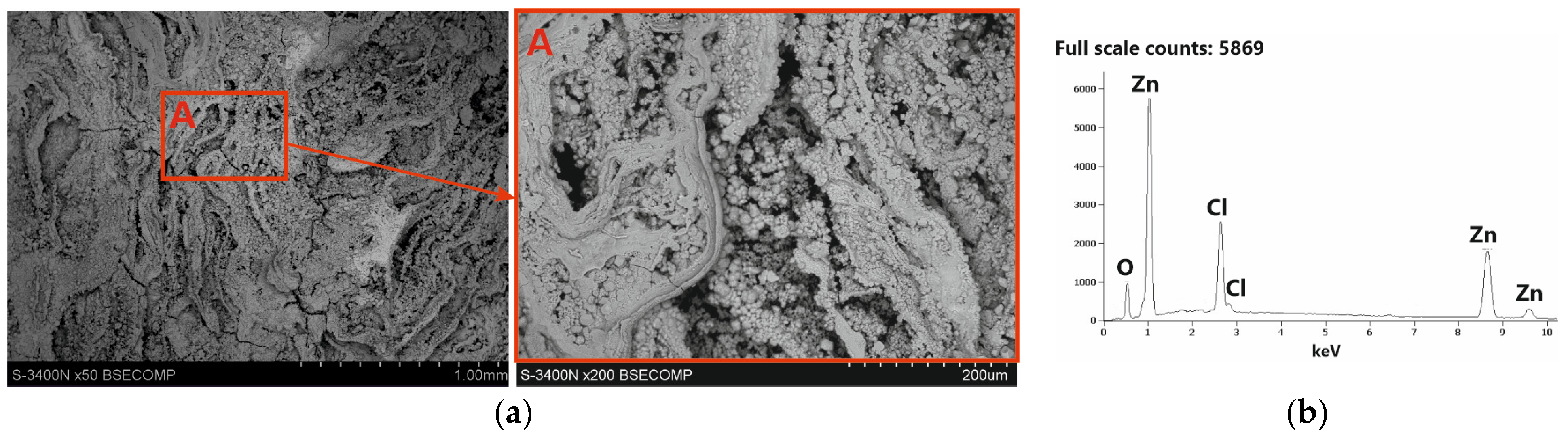 Coatings 14 00959 g008