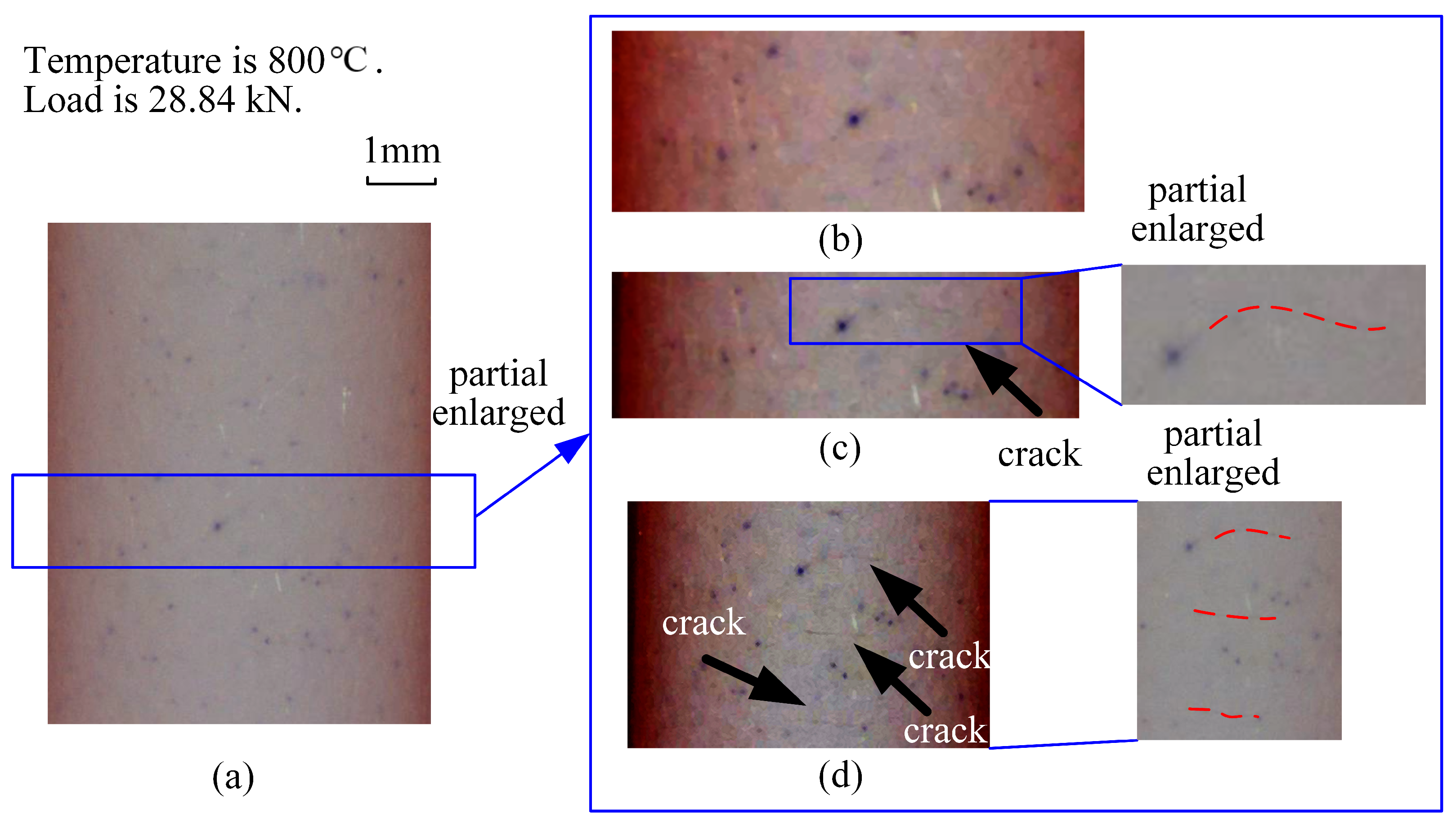 Coatings 14 00960 g007