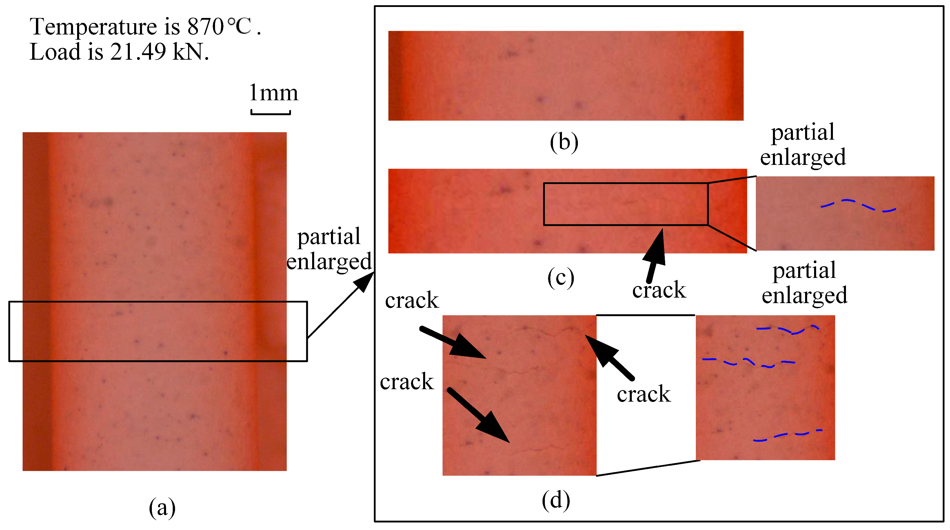 Coatings 14 00960 g008