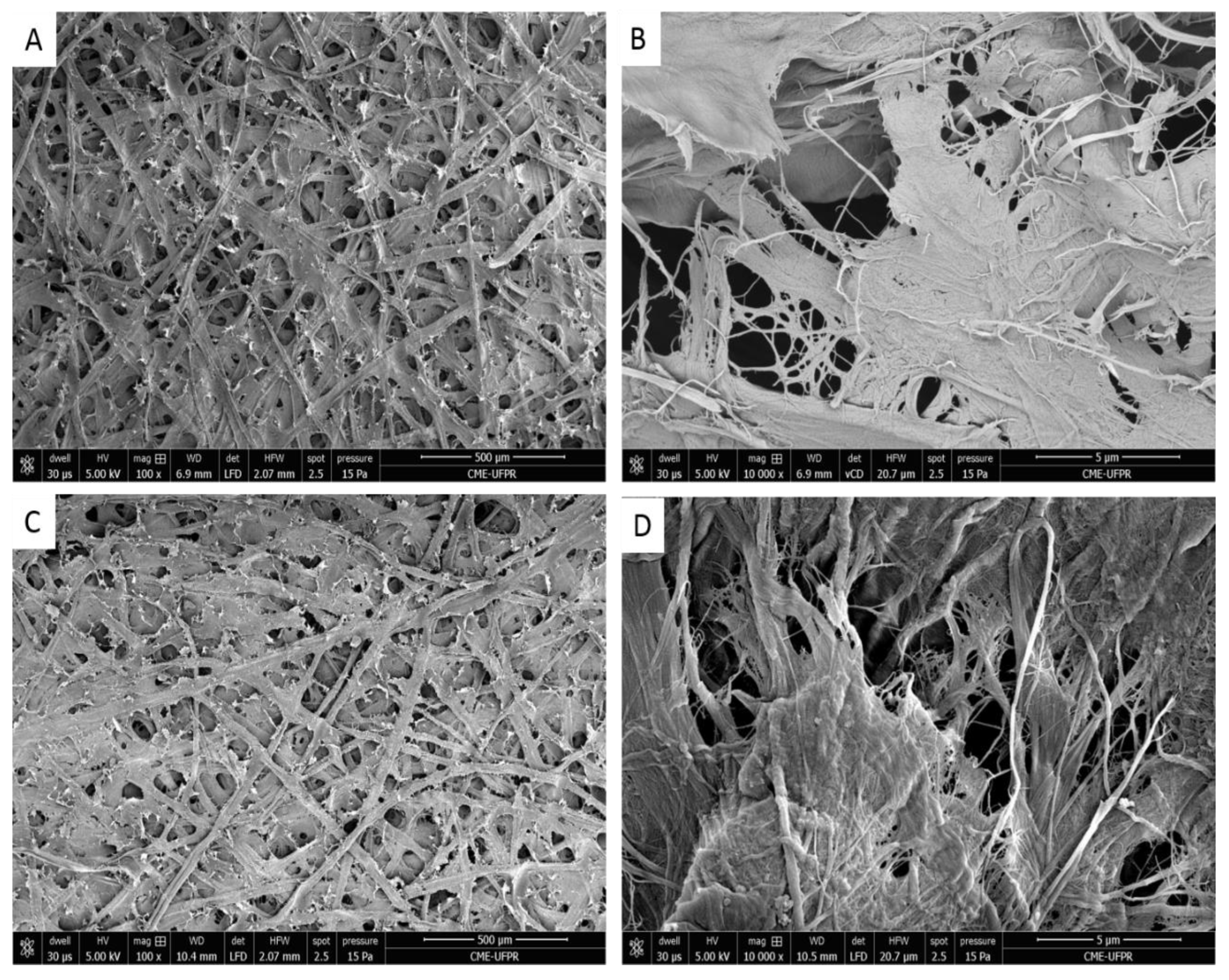Coatings 14 00962 g001