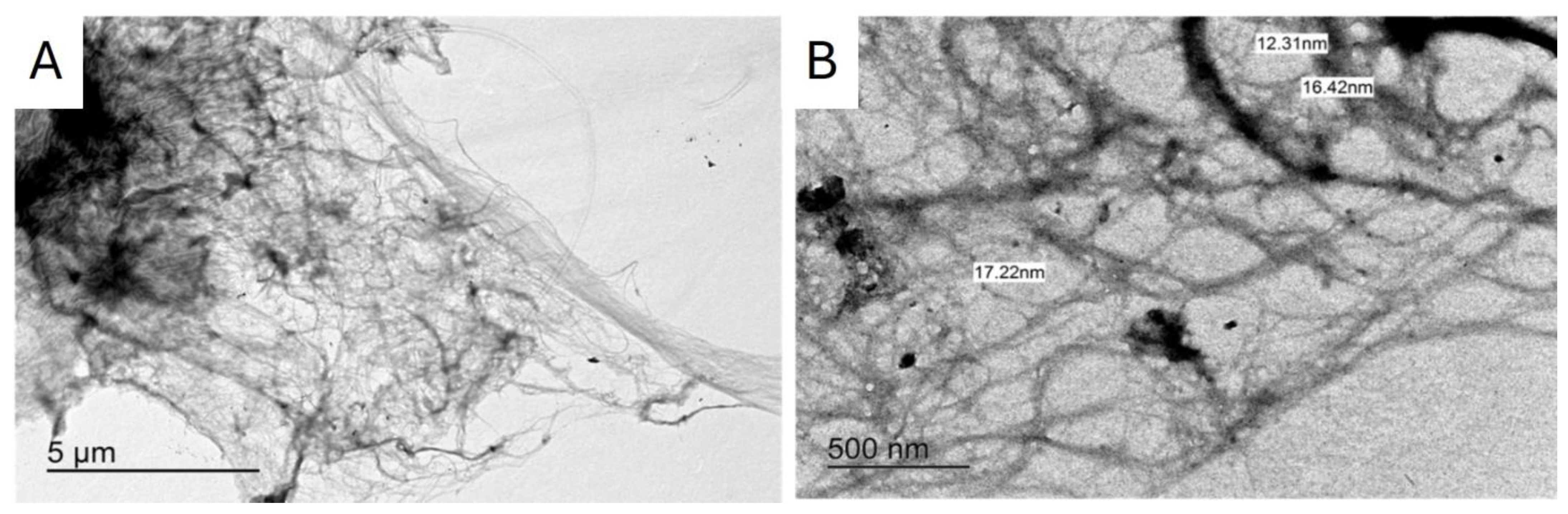 Coatings 14 00962 g002