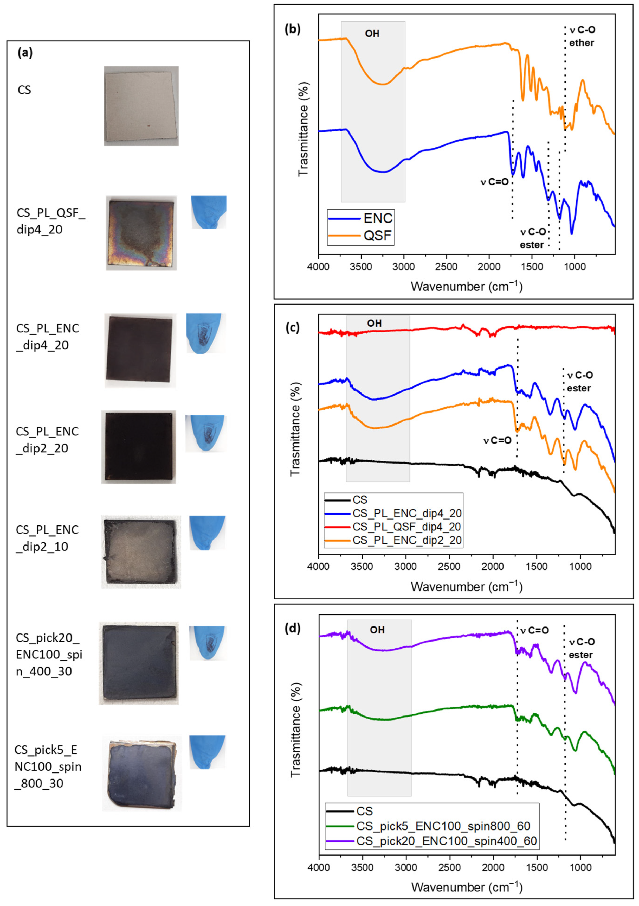 Coatings 14 00965 g002