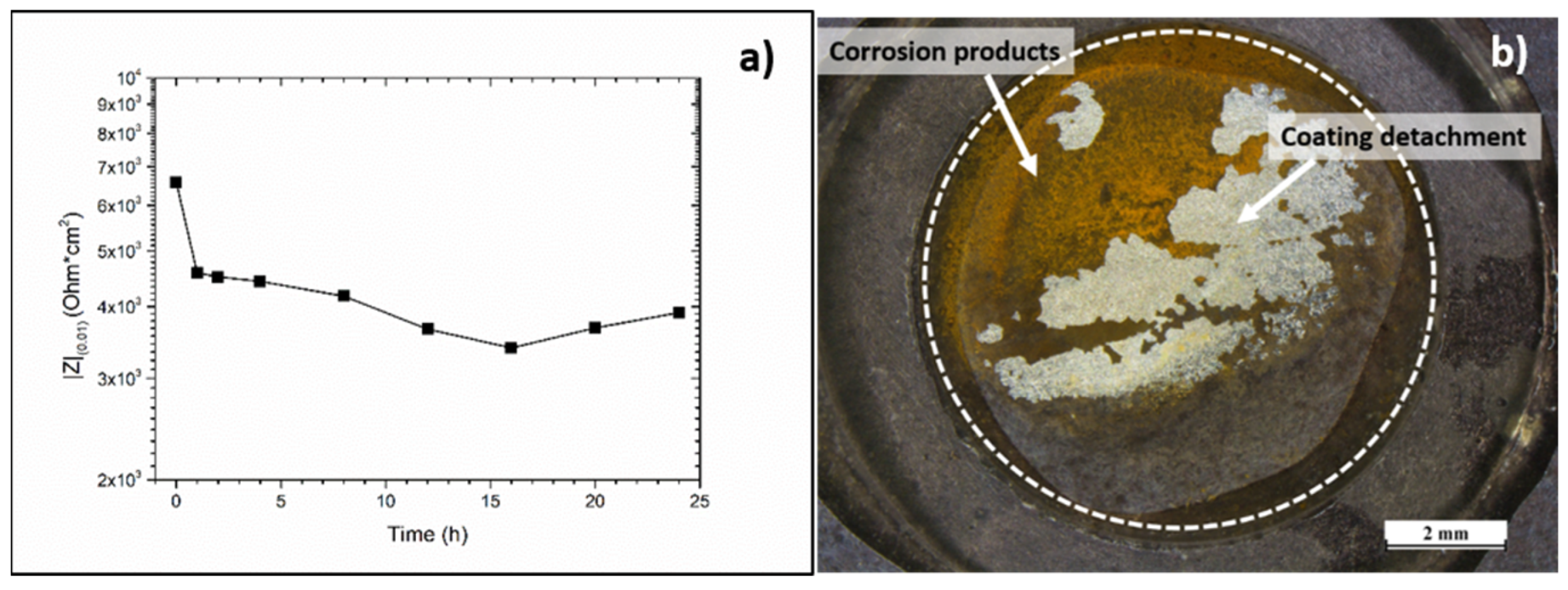 Coatings 14 00965 g006