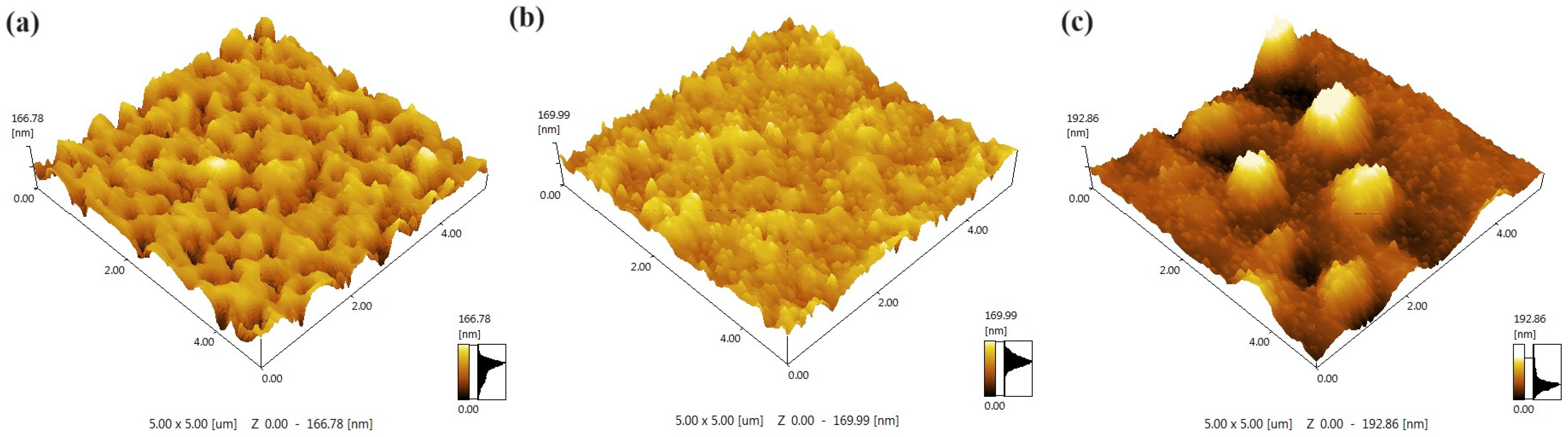 Coatings 14 00969 g002