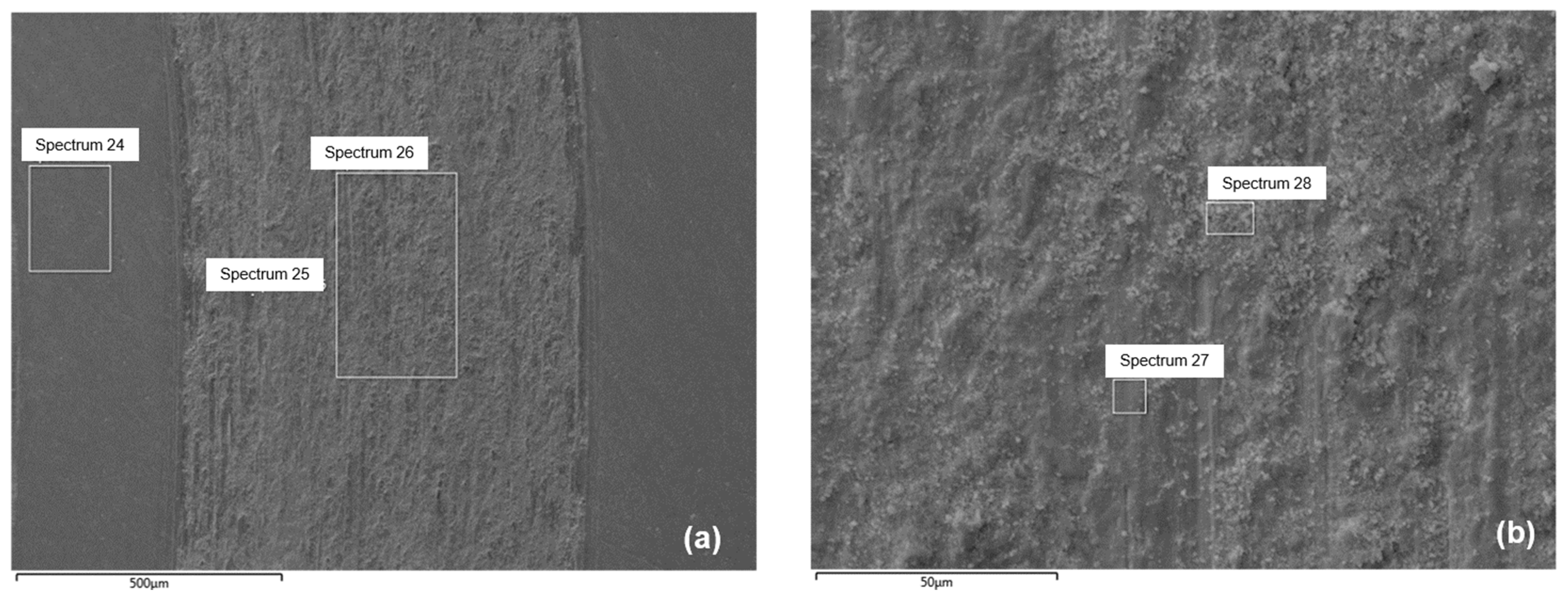 Coatings 14 00971 g008