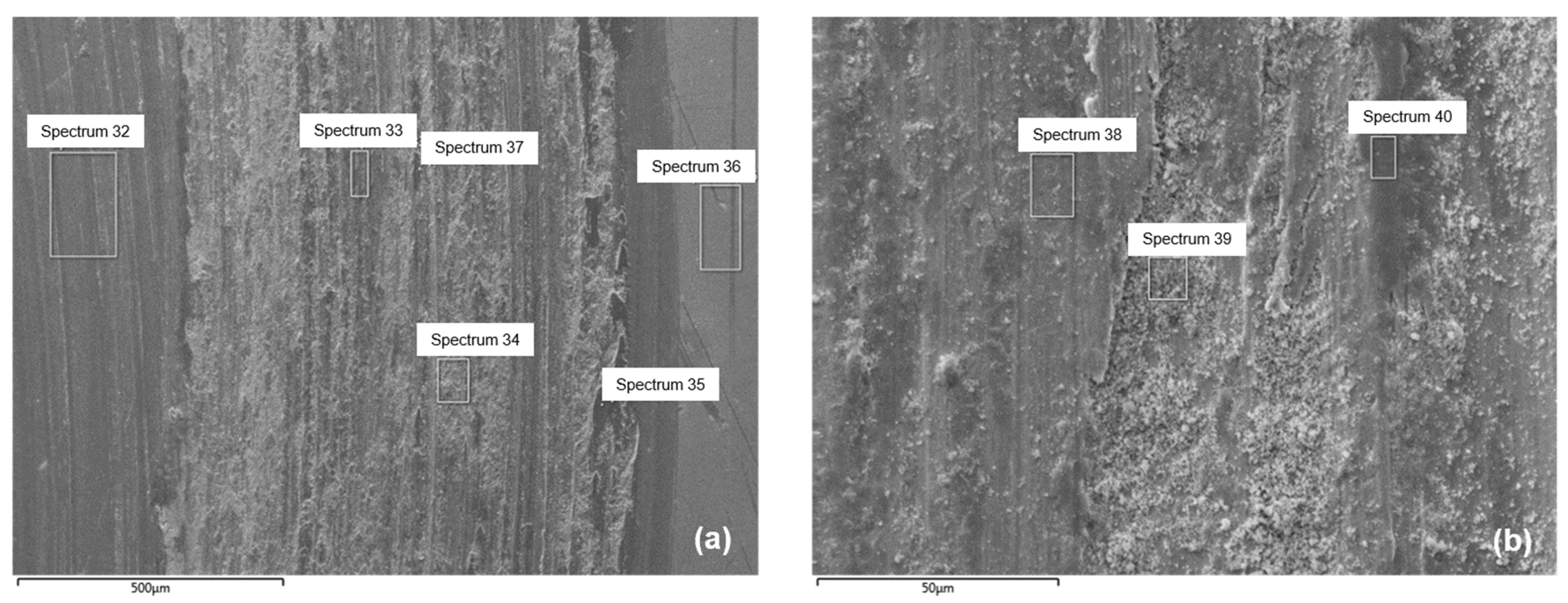 Coatings 14 00971 g010