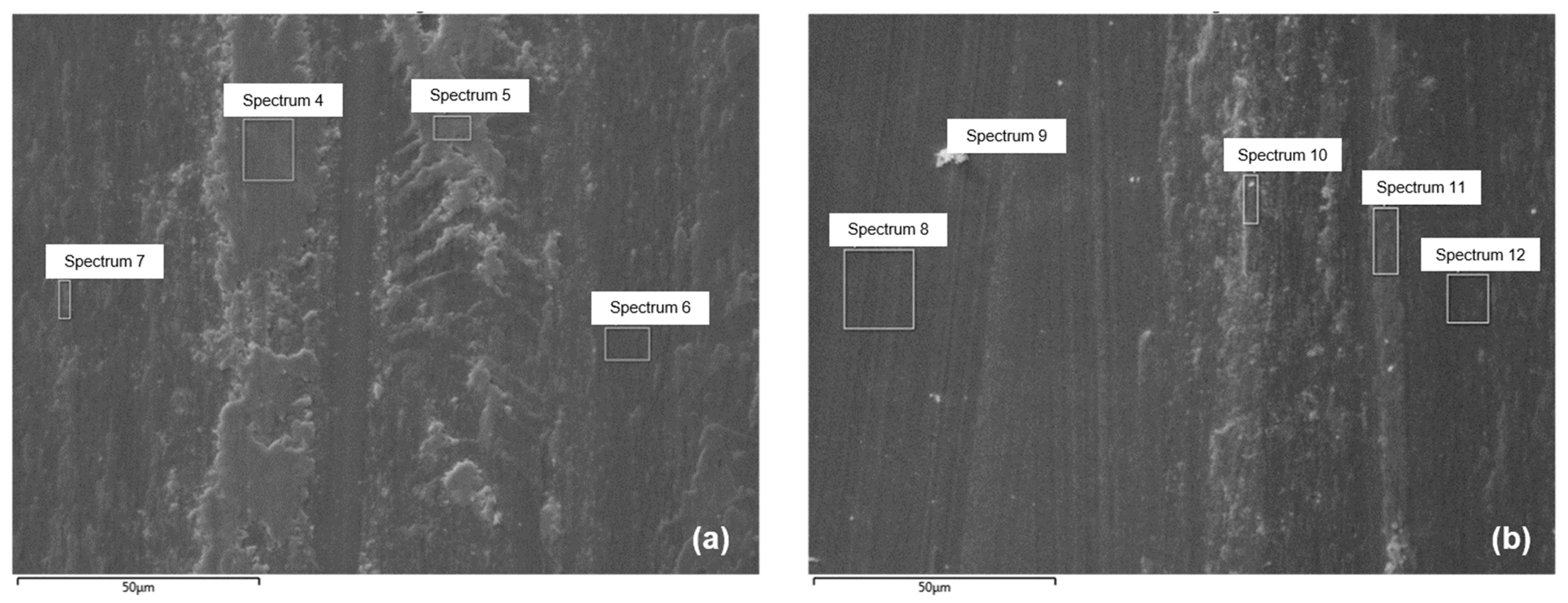 Coatings 14 00971 g012