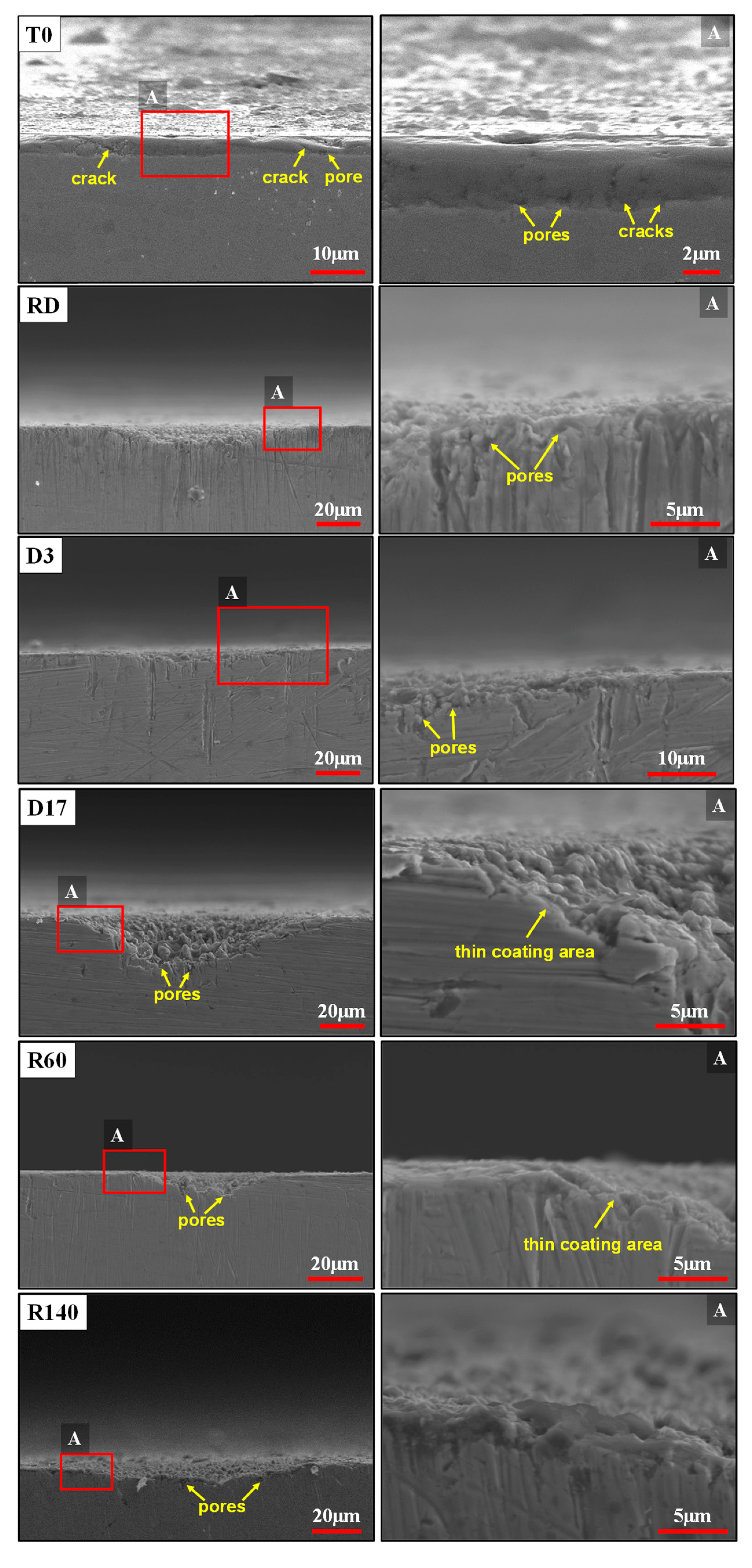Coatings 14 00973 g004